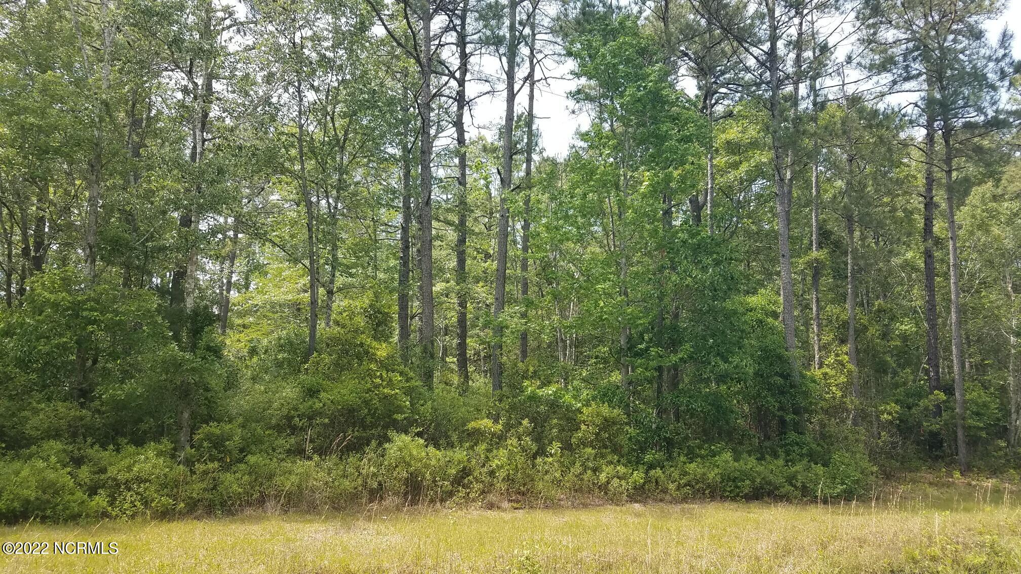 511 Leatherwood Drive Property Photo 1