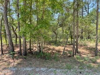 865 Oyster Lane Property Photo 1