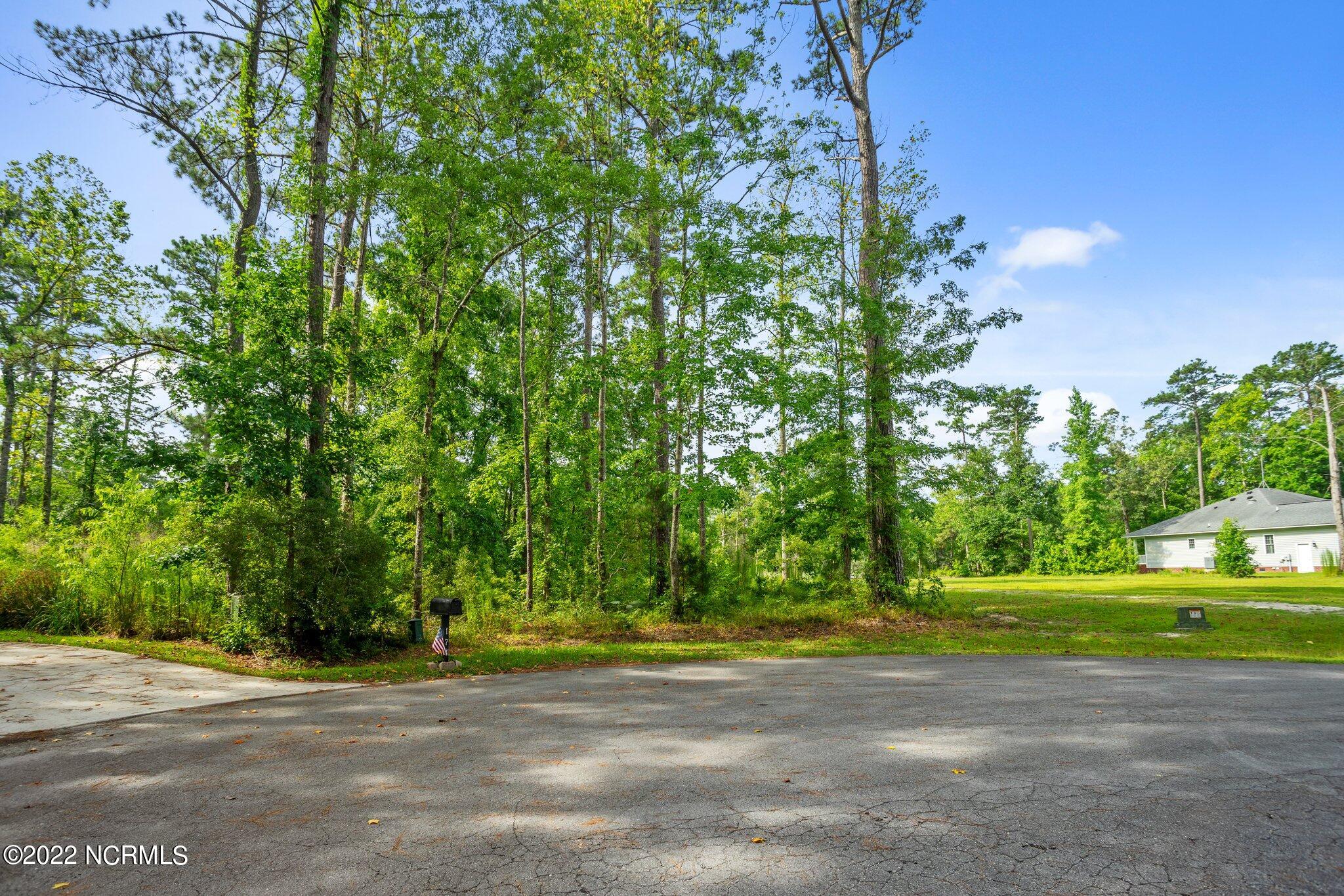 166 Marsh Run Property Photo 4