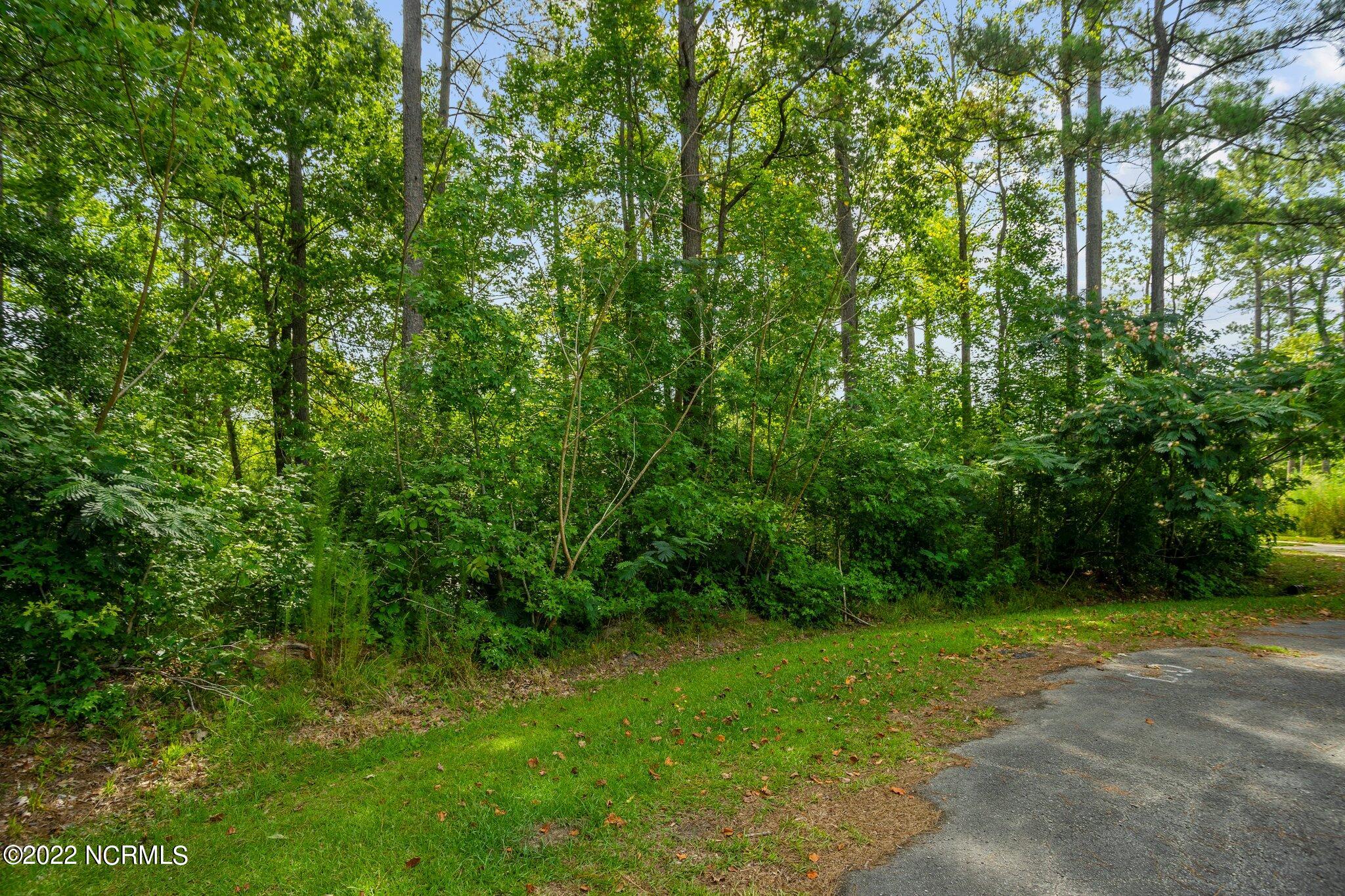 178 Marsh Run Property Photo 5
