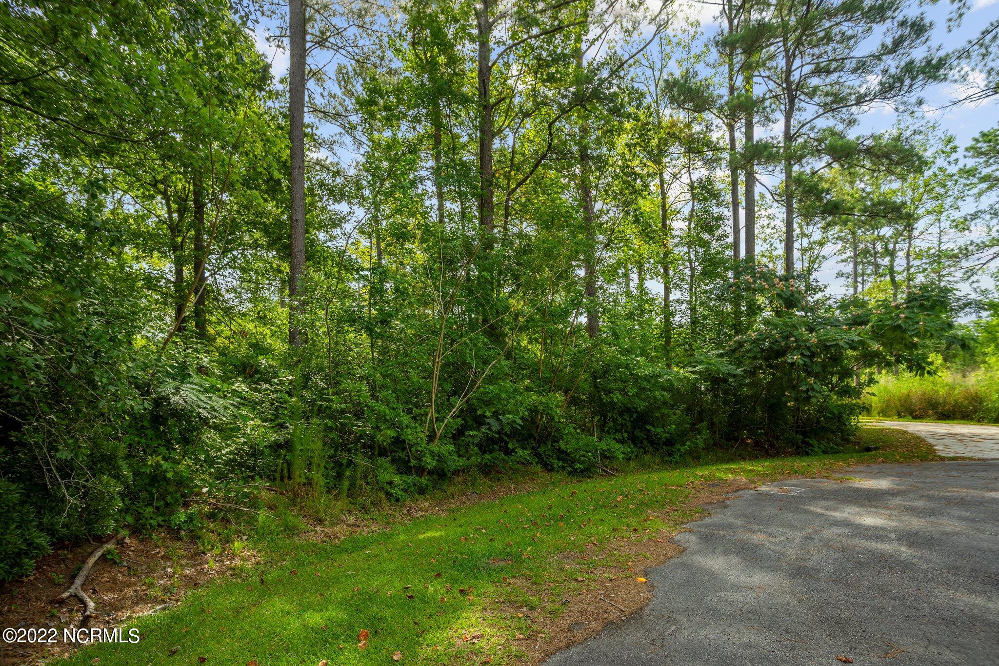 178 Marsh Run Property Photo 7