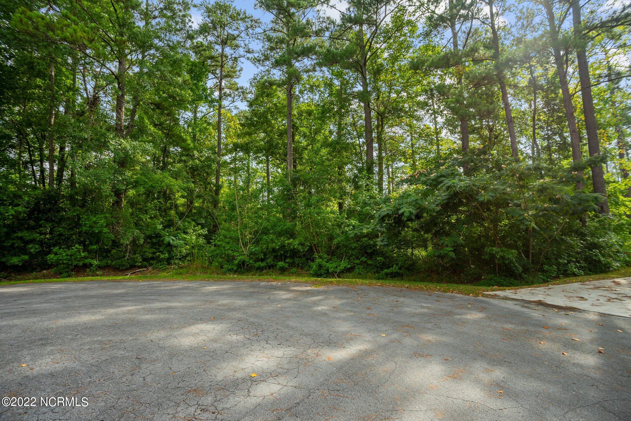 178 Marsh Run Property Photo 8