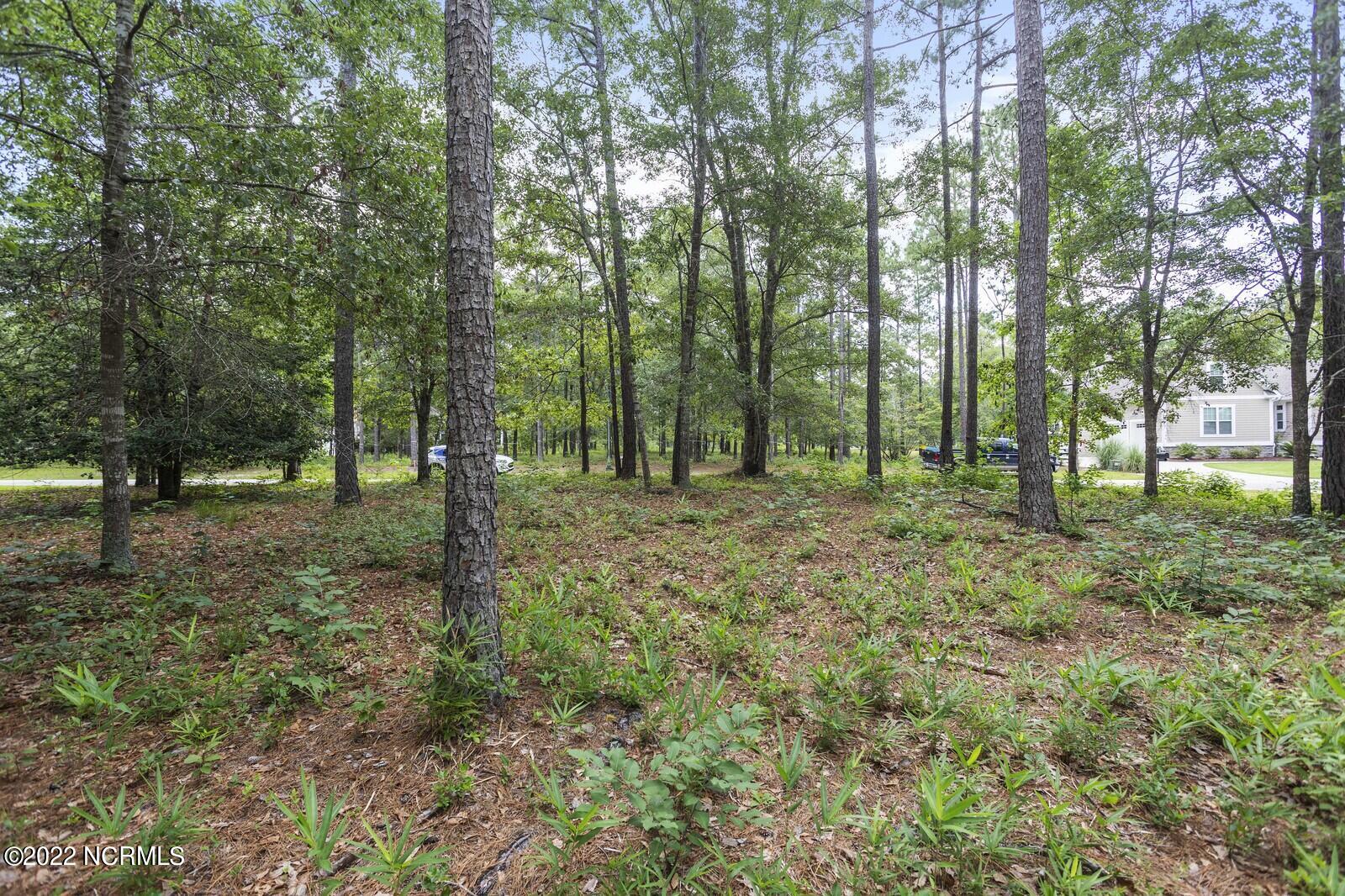 587 Ashbury Drive Property Photo 1