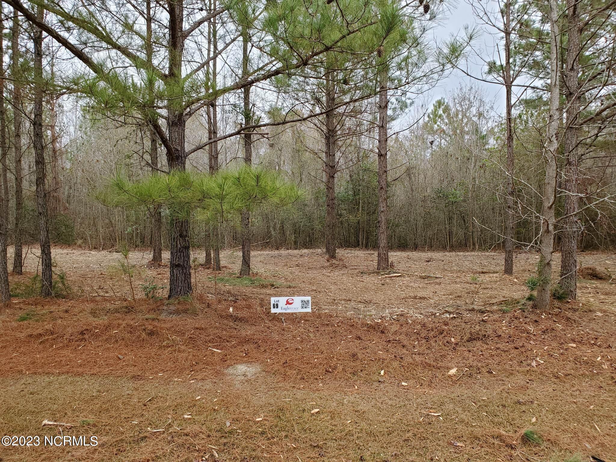 Lot 69 Eagle Trace Drive Property Photo 1