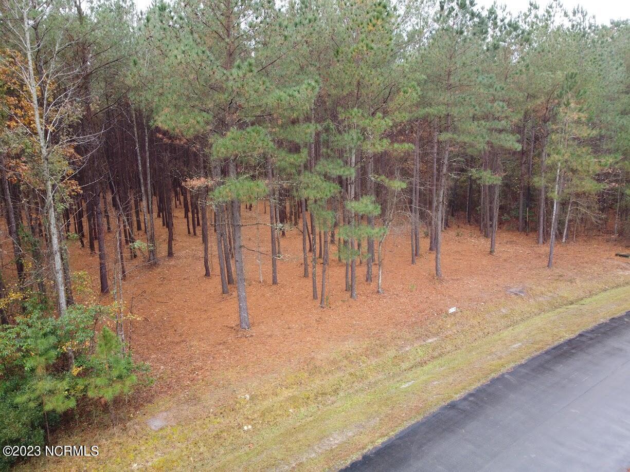 Lot 56 Eagle Nest Trail Property Photo