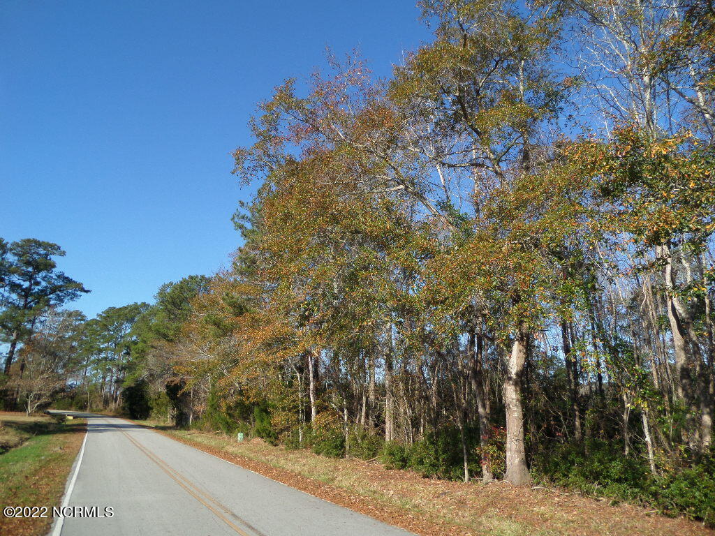 000 Alligator Creek Road Property Photo