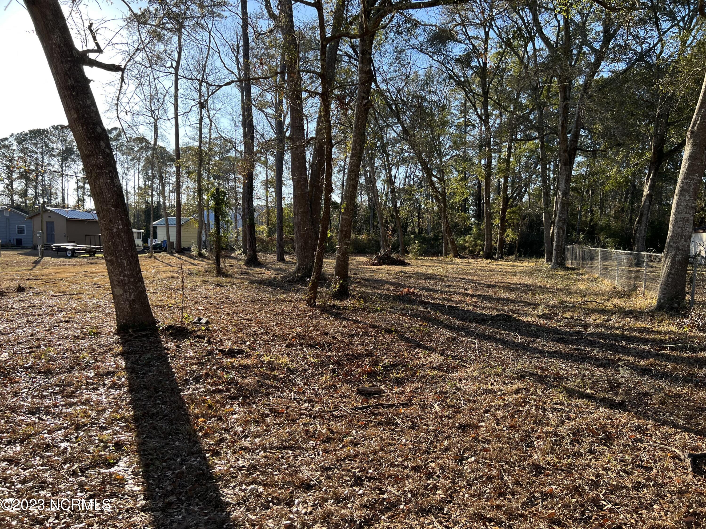 1519 Phelps Street Property Photo 1