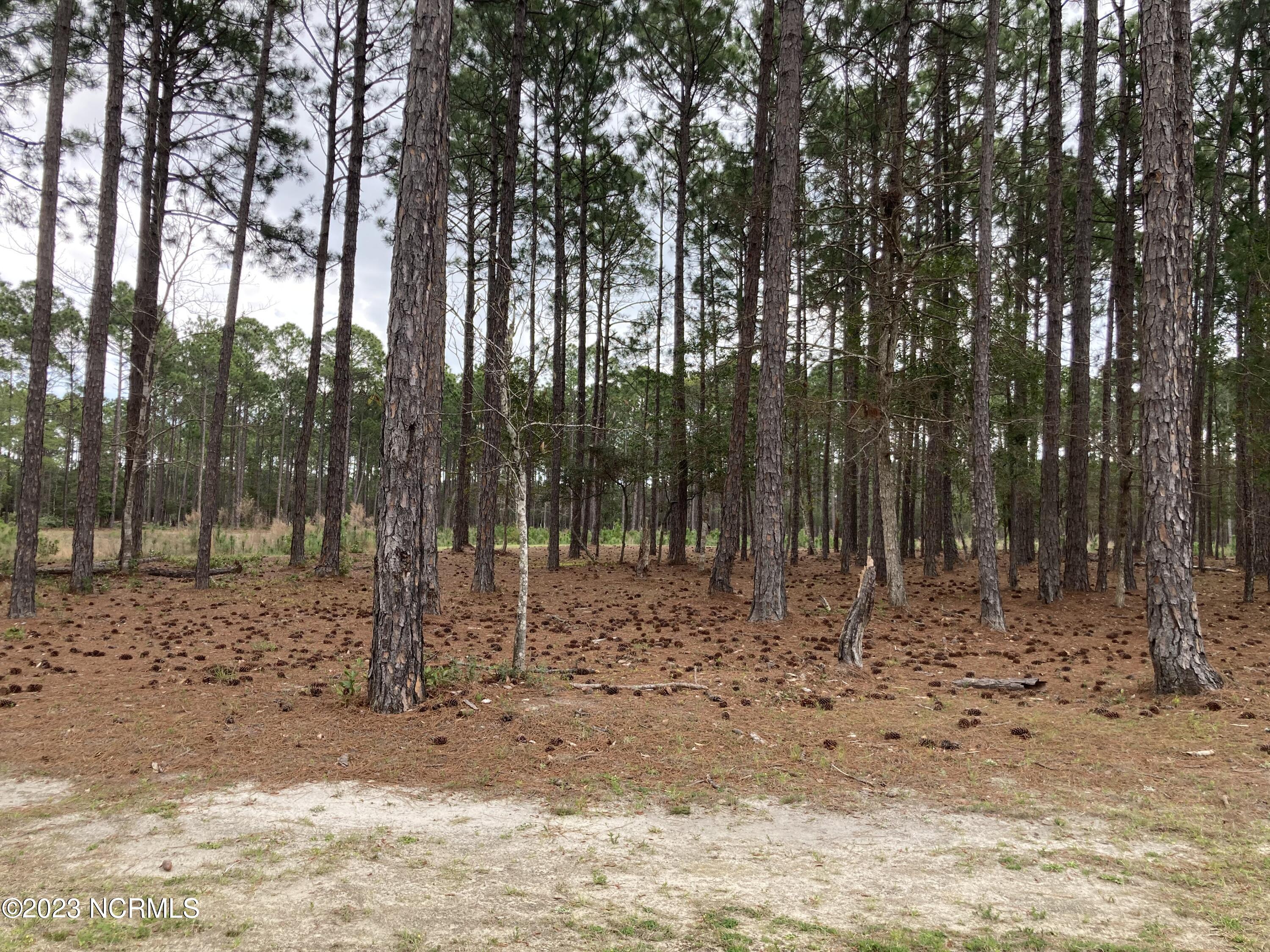 6436 Waterbrook Way Property Photo 1