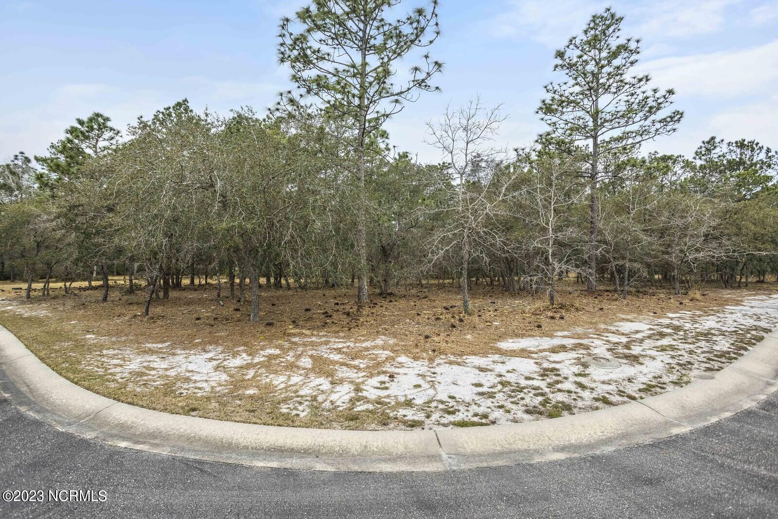 534 Bendigo Passage Property Photo 1