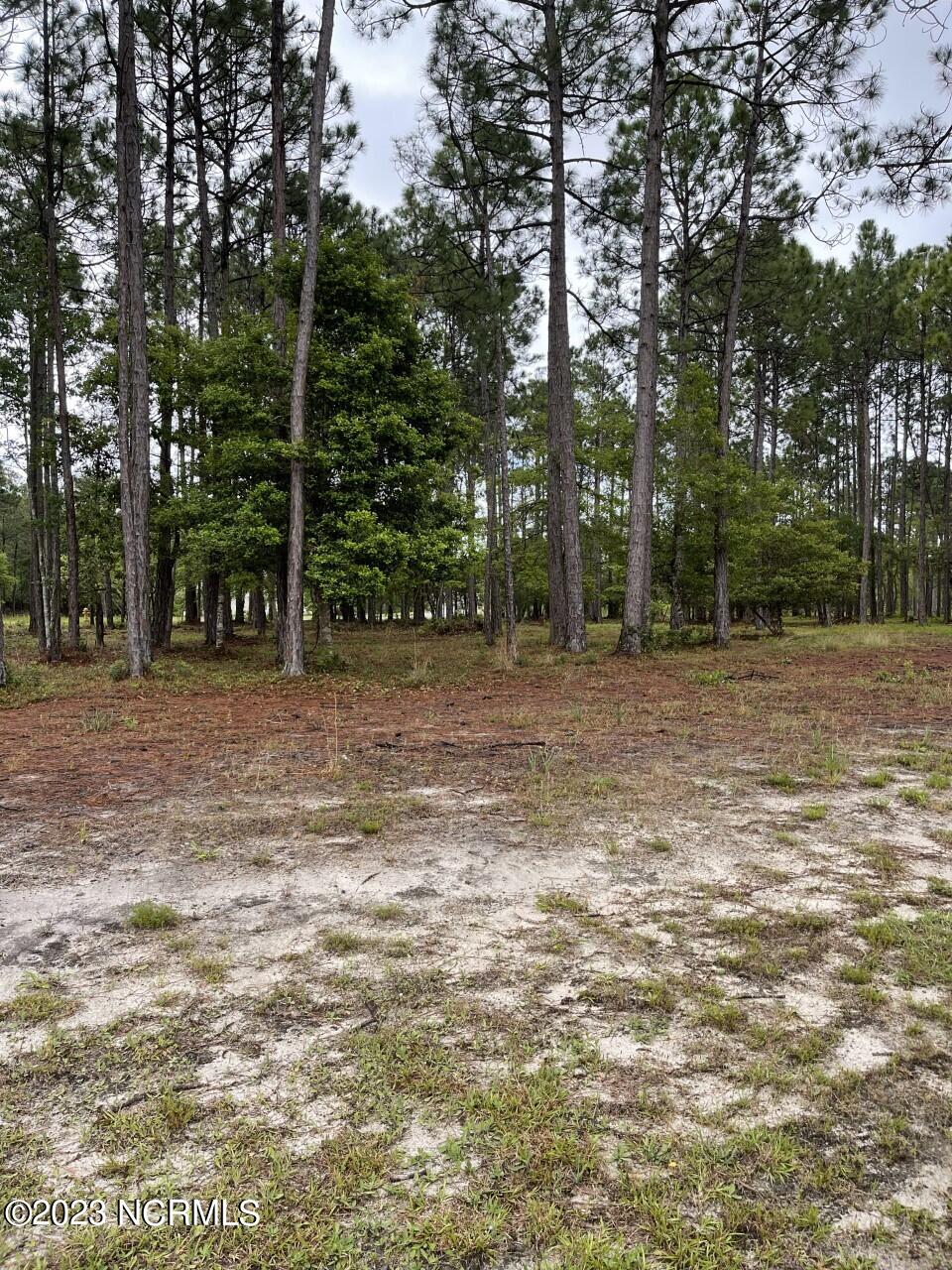 6813 Parnell Place Property Photo 1