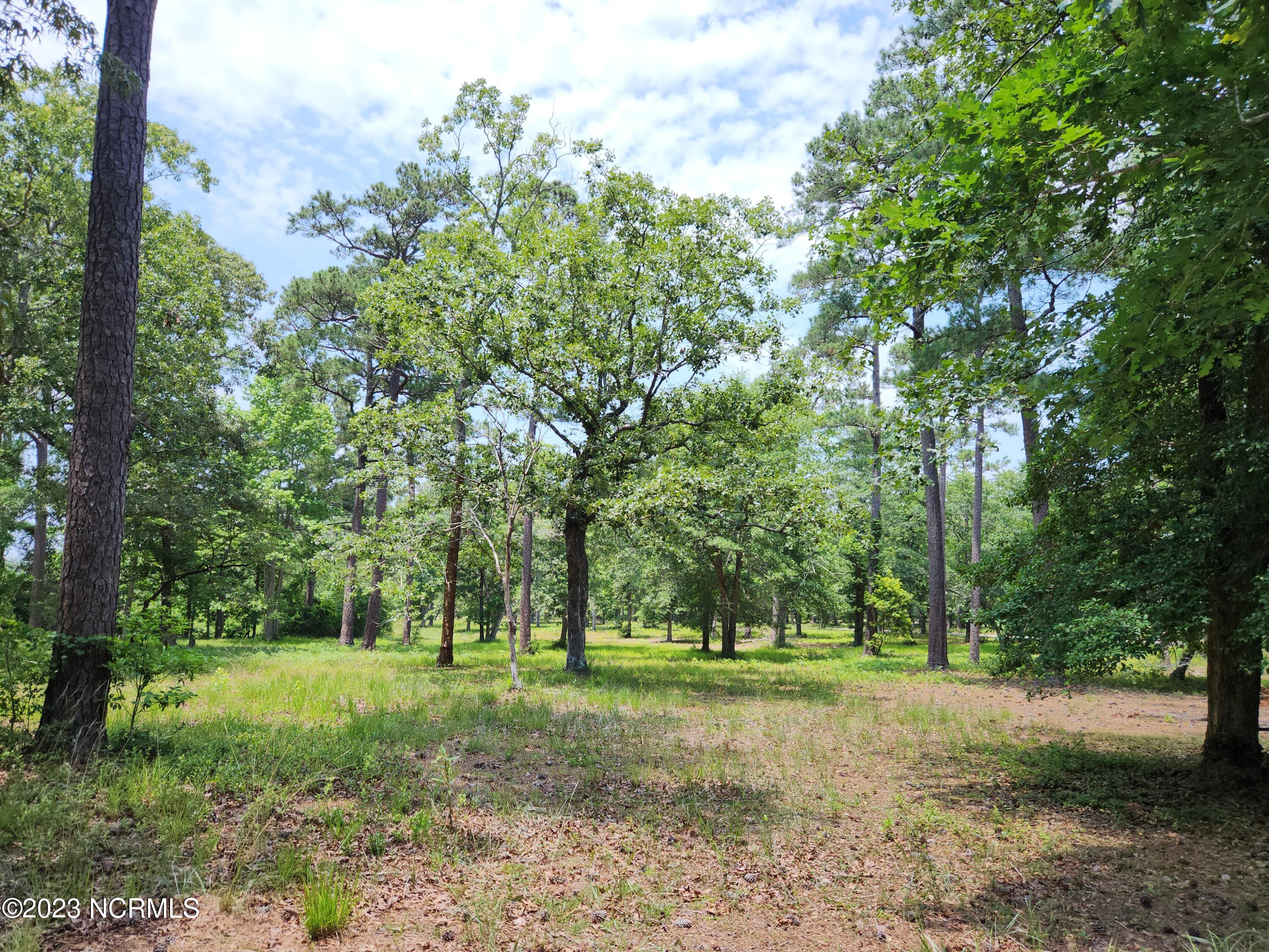 Lot 12 Loblolly Drive Property Photo 1