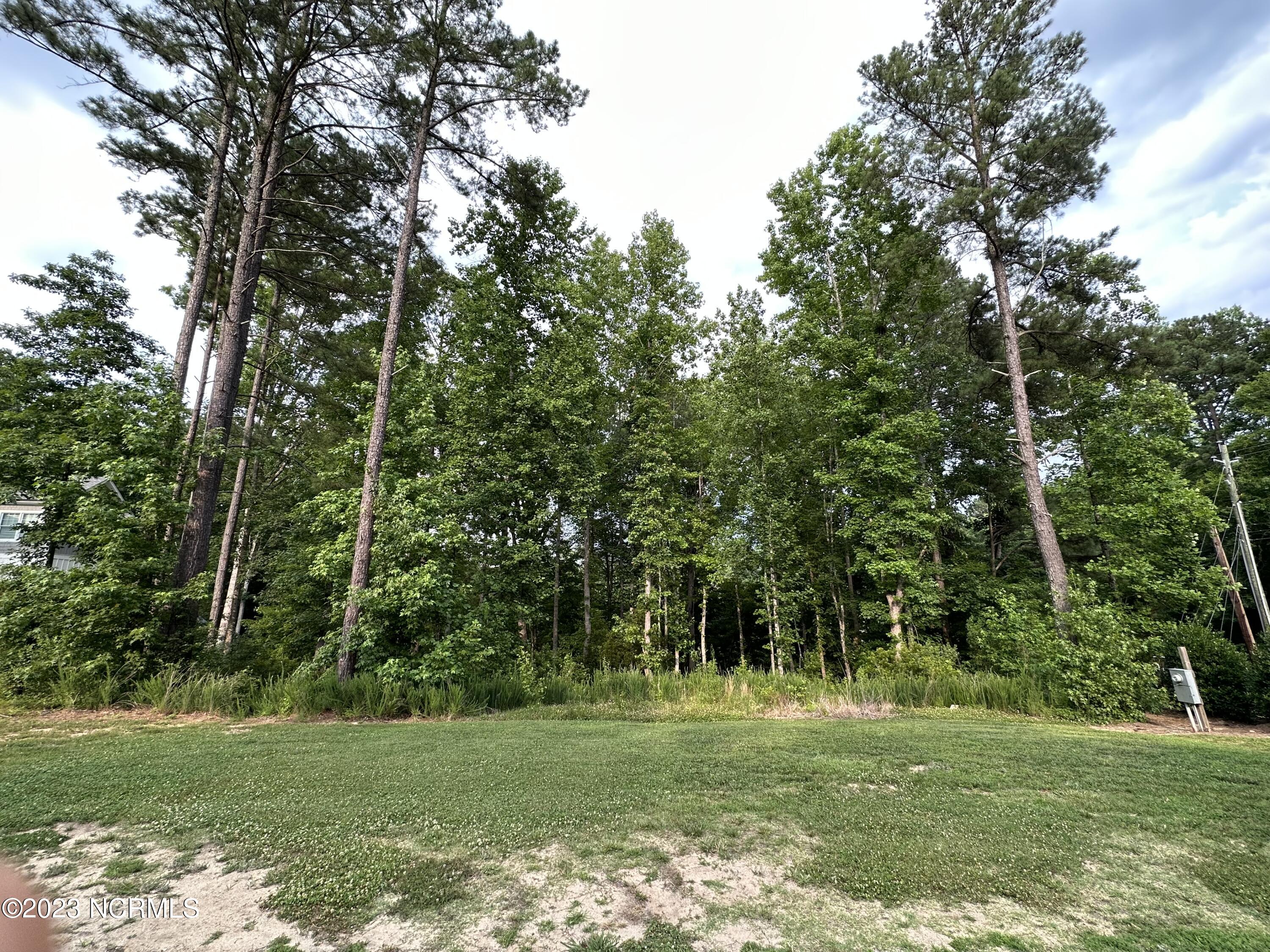 4200 Beech Creek Court Property Photo 1