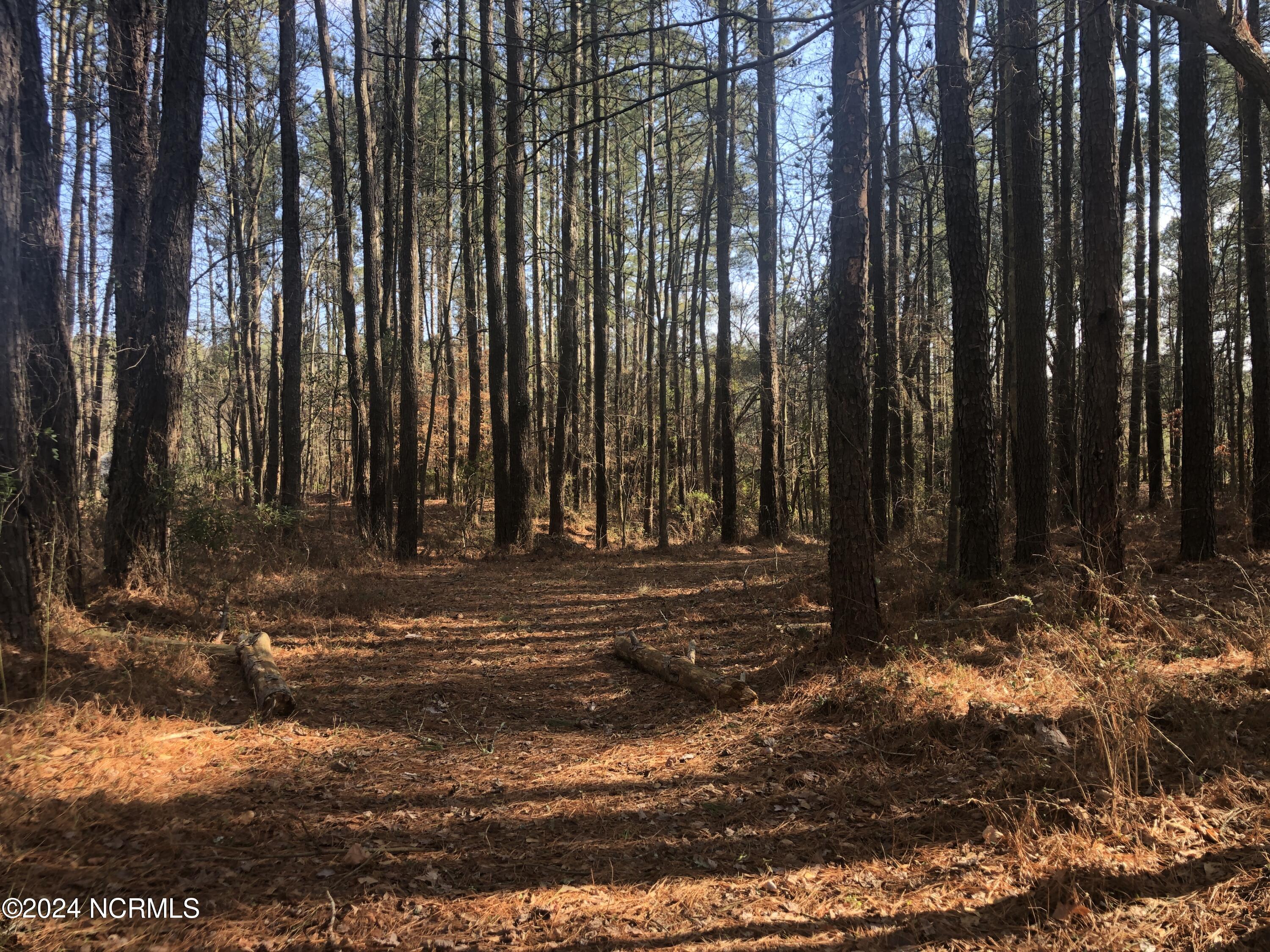 Lot 51 Mill Creek Lane Property Photo 1
