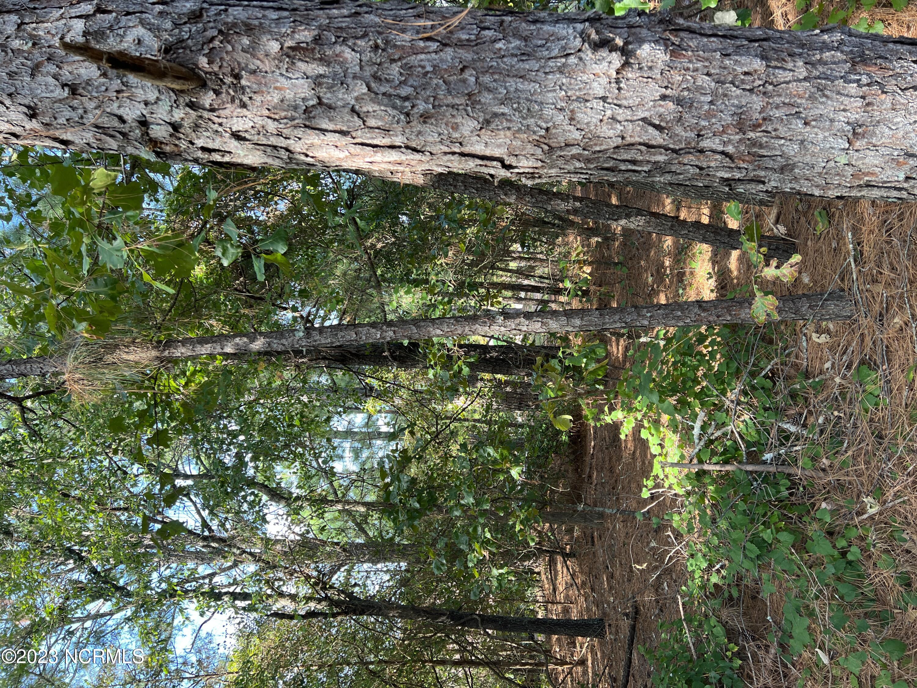 Tbd Starlit Lane Property Photo 1