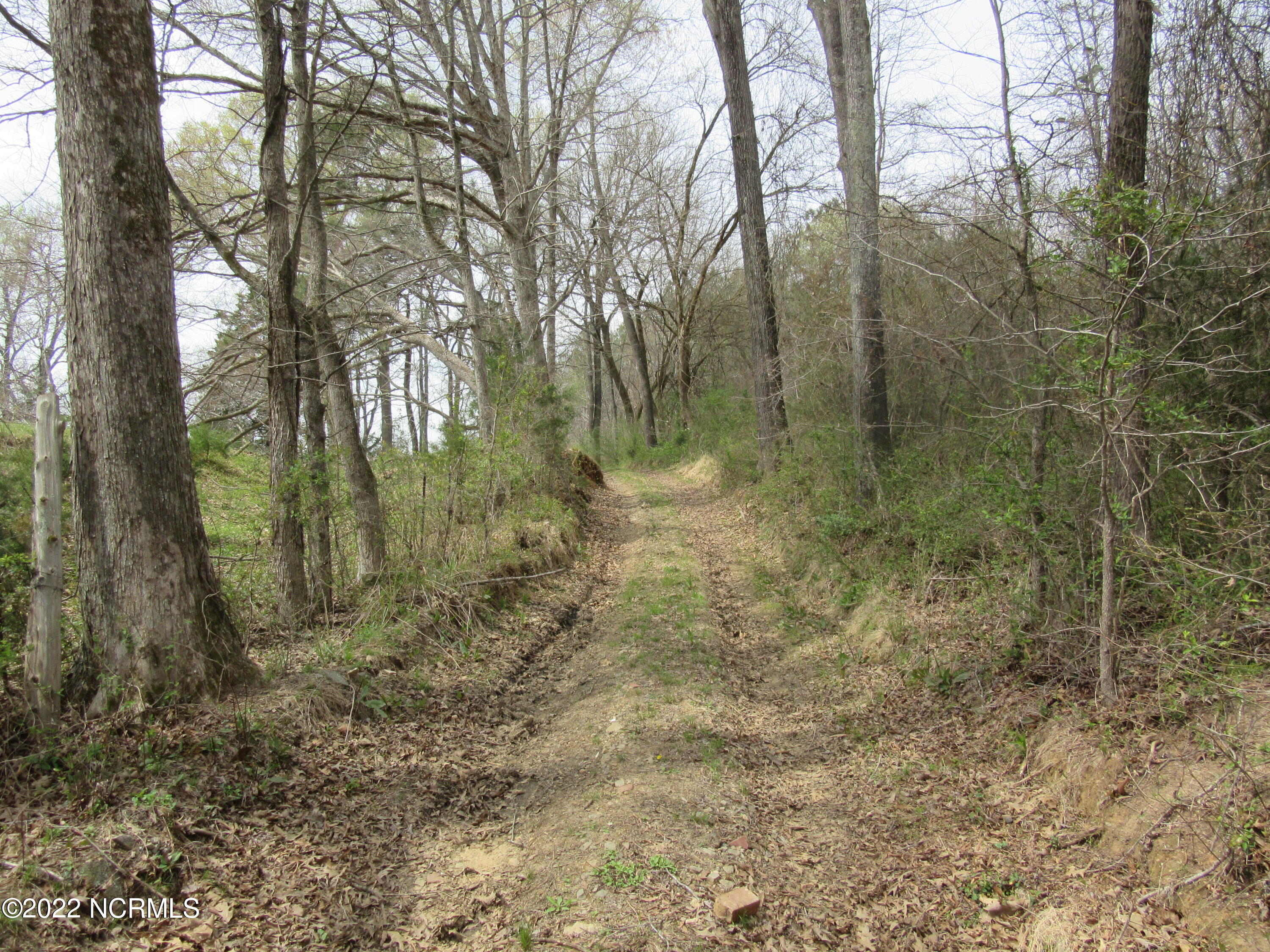 Off Crowders Pond Road Property Photo