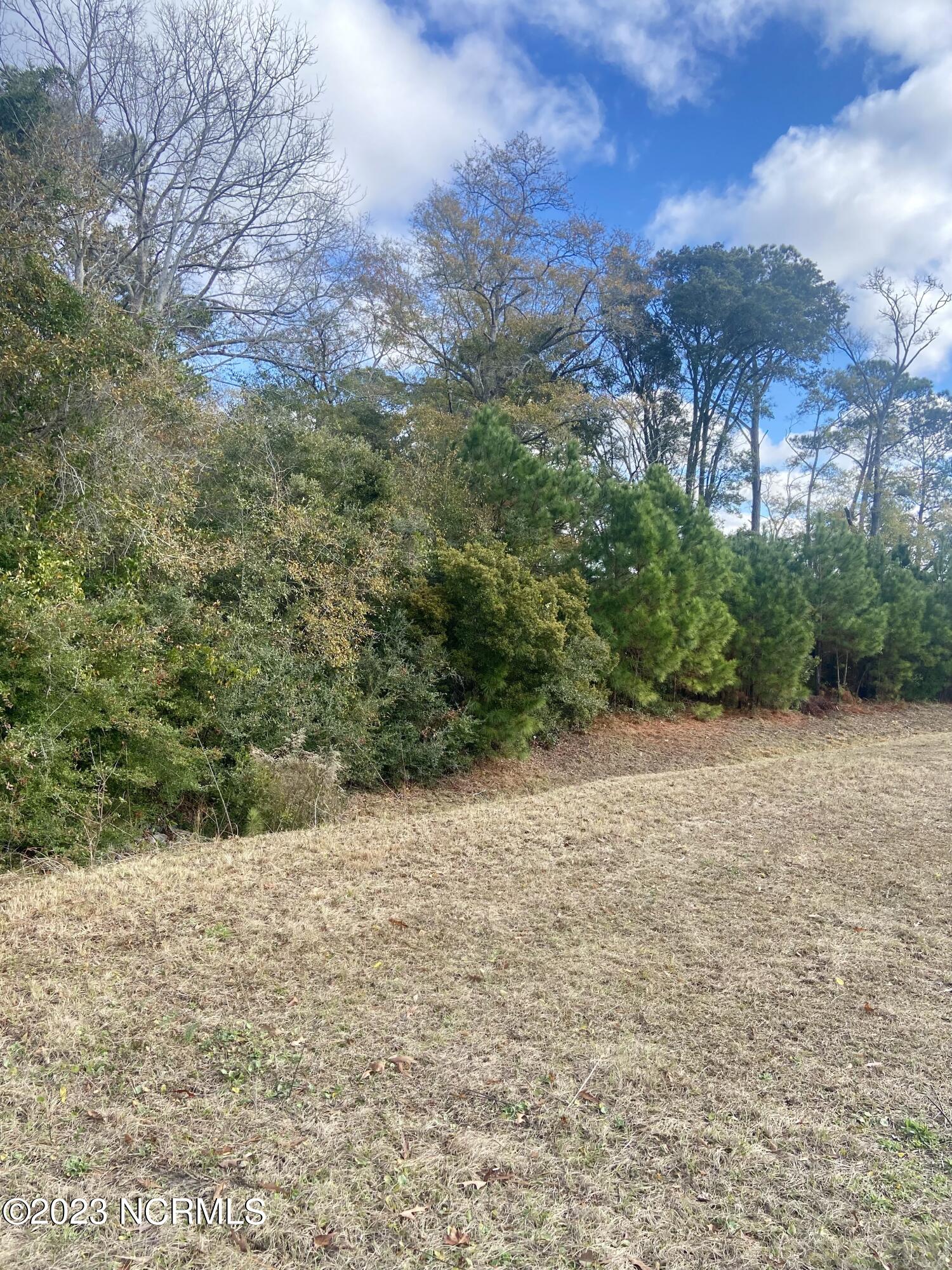 1251 Bricklanding Road Property Photo 1