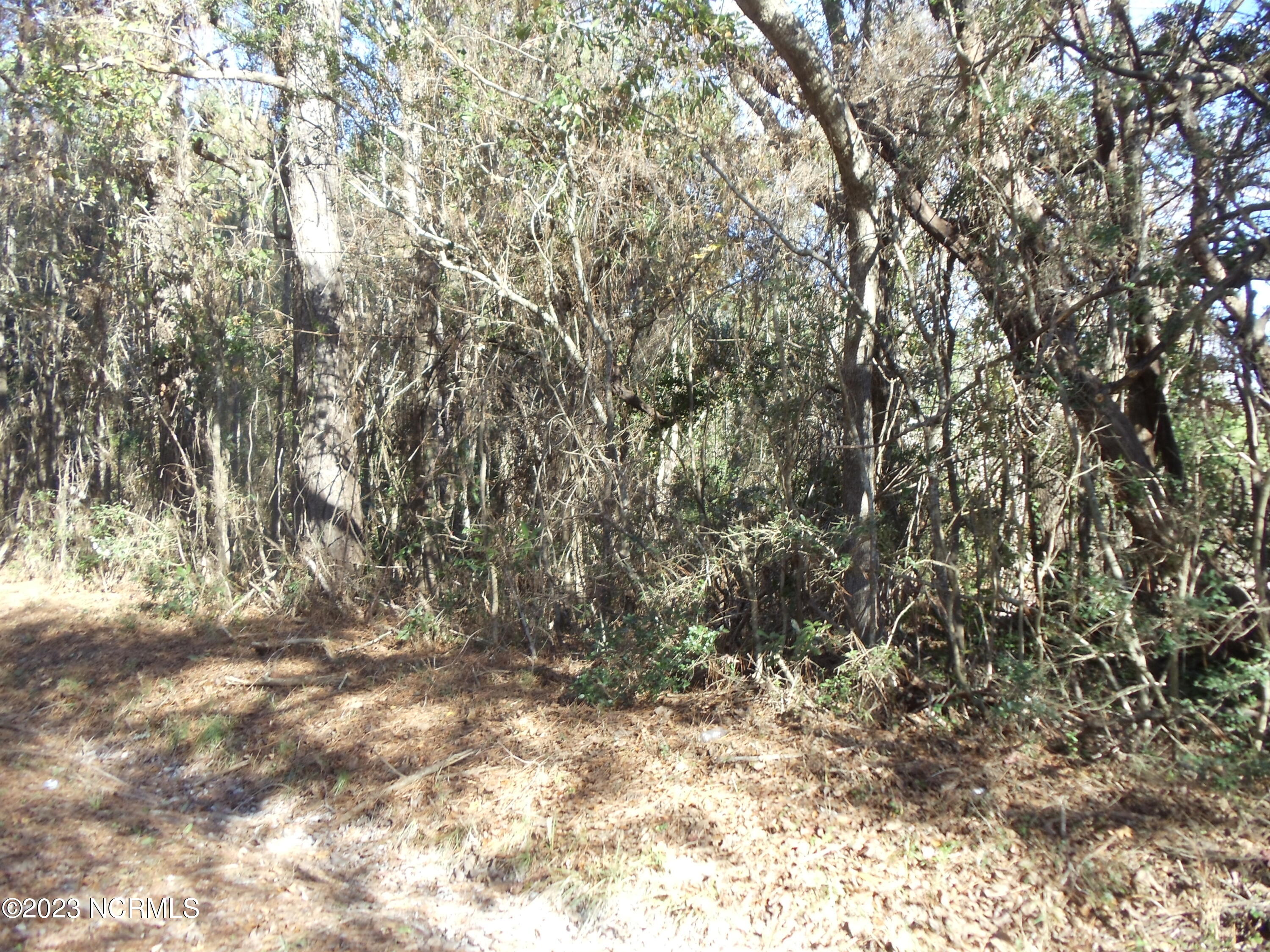 Tbd Parrot Swamp Loop Road Property Photo