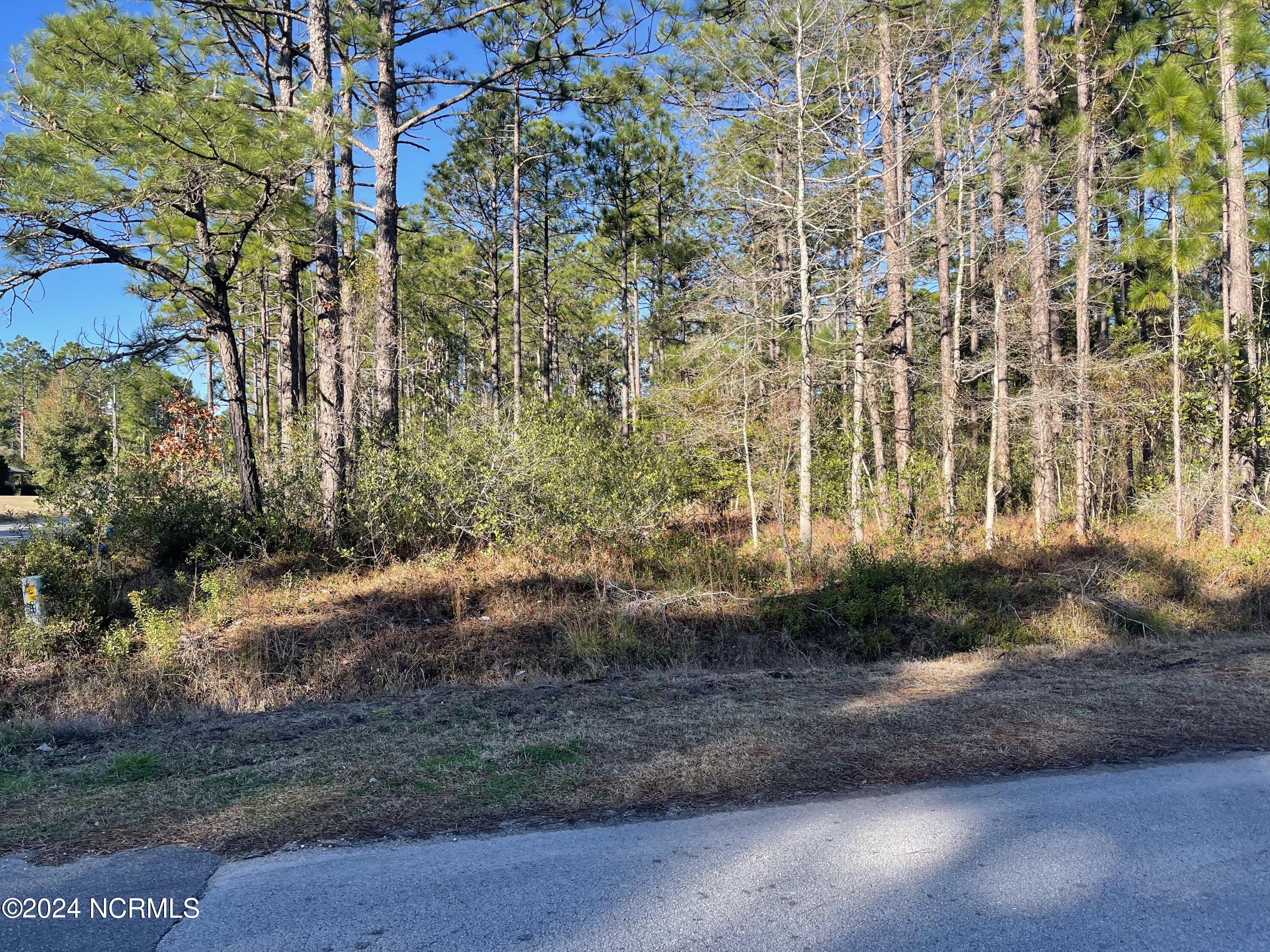 Lot 52 Windemere Drive Property Photo 1