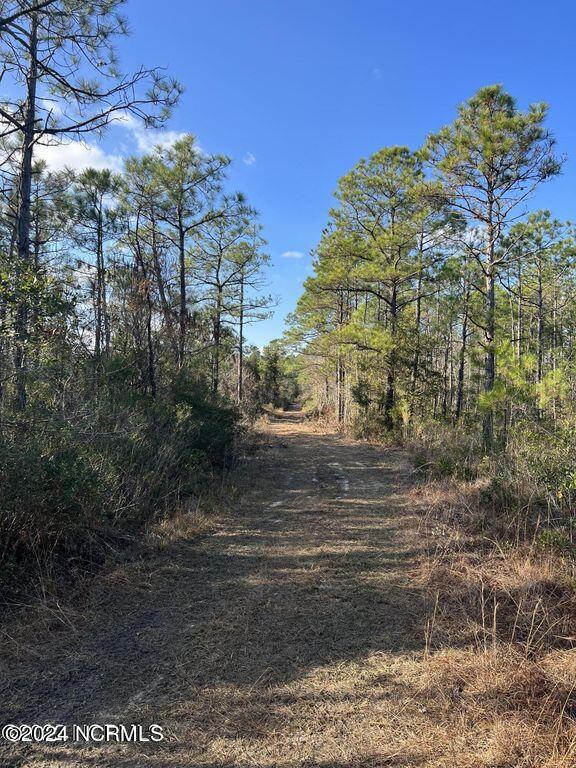 61 Acres Buck Shot Property Photo