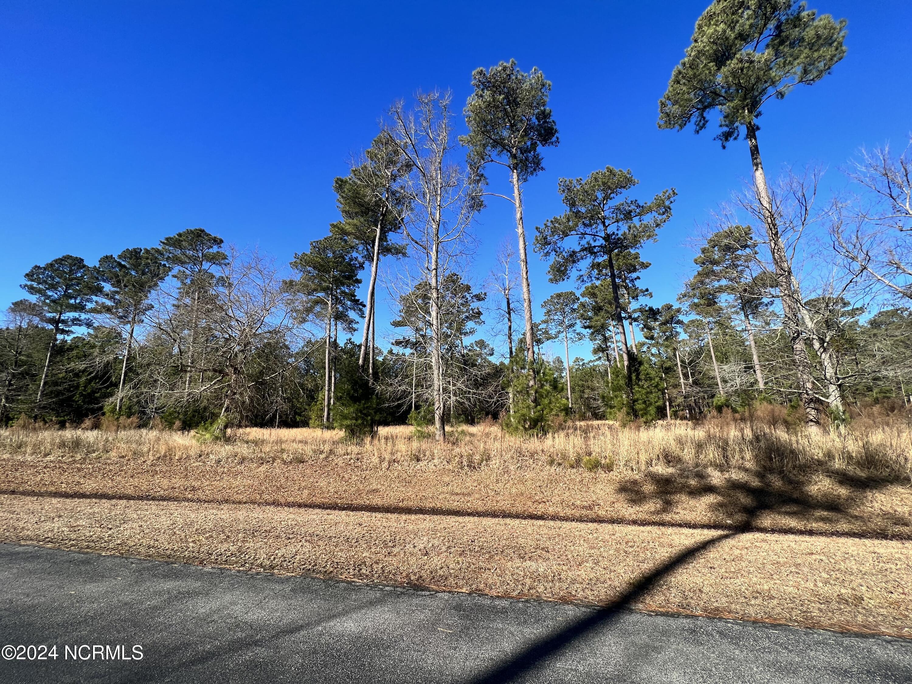 Lot 63 Bailey Pointe Property Photo