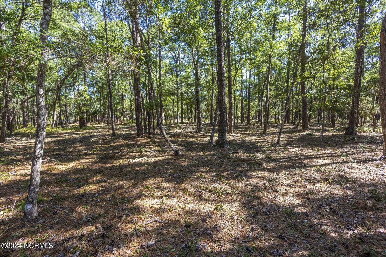 3359 Portside Drive Property Photo 1