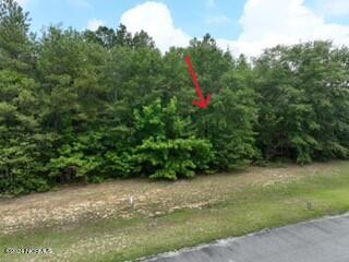 173 Deer Pointe Drive Property Photo 1