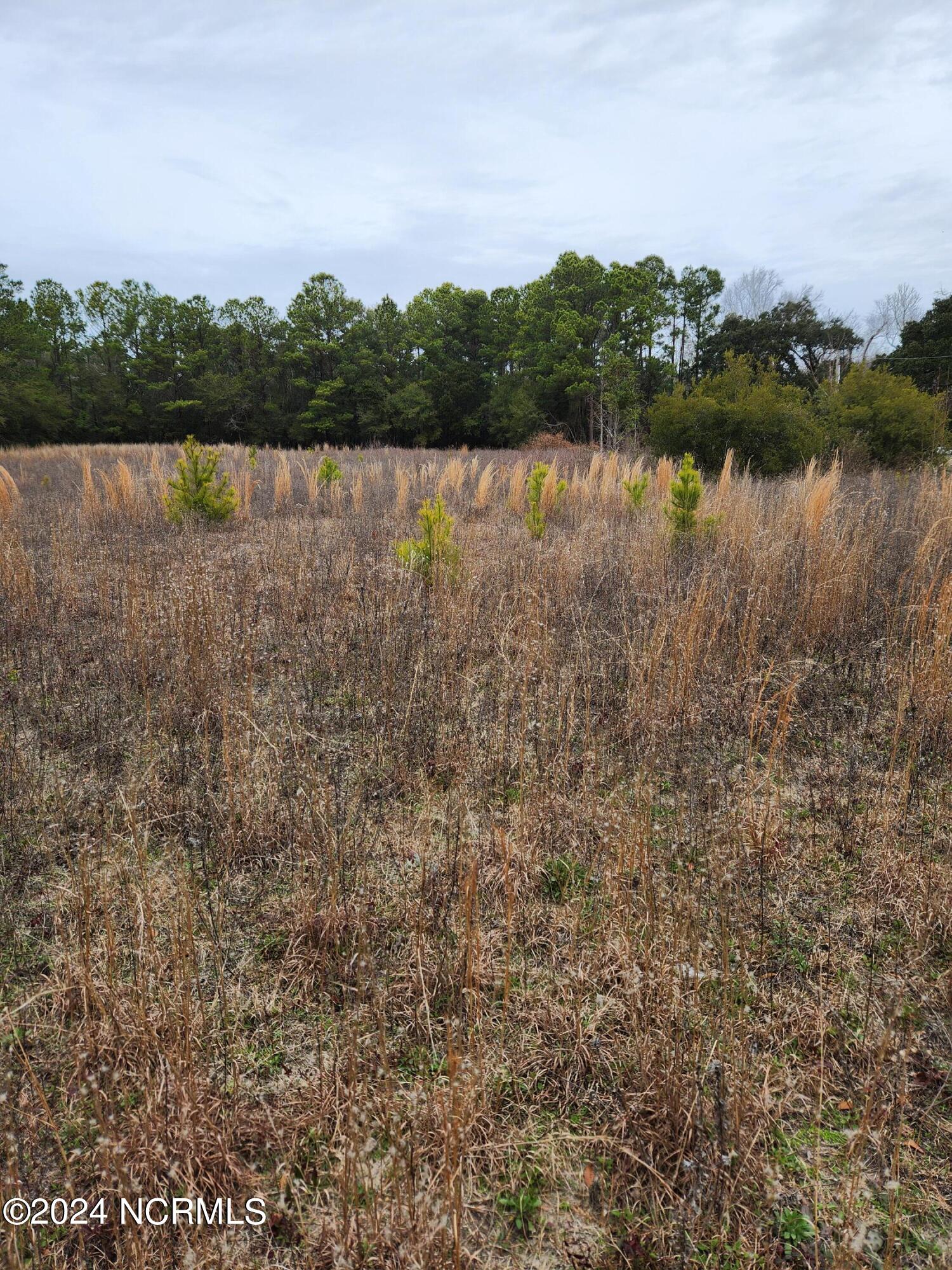 190 Bogue Loop Road Property Photo 1