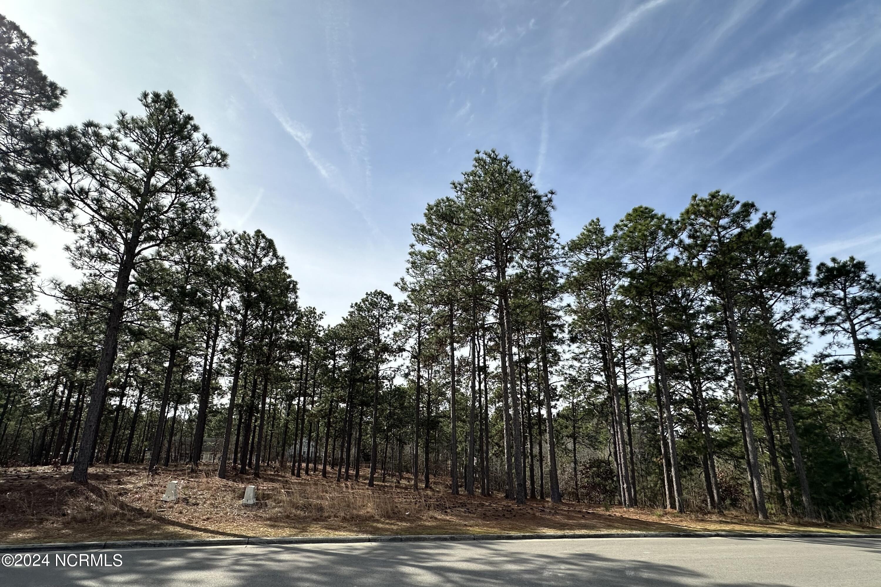 7 Ridgeland Street Property Photo 1