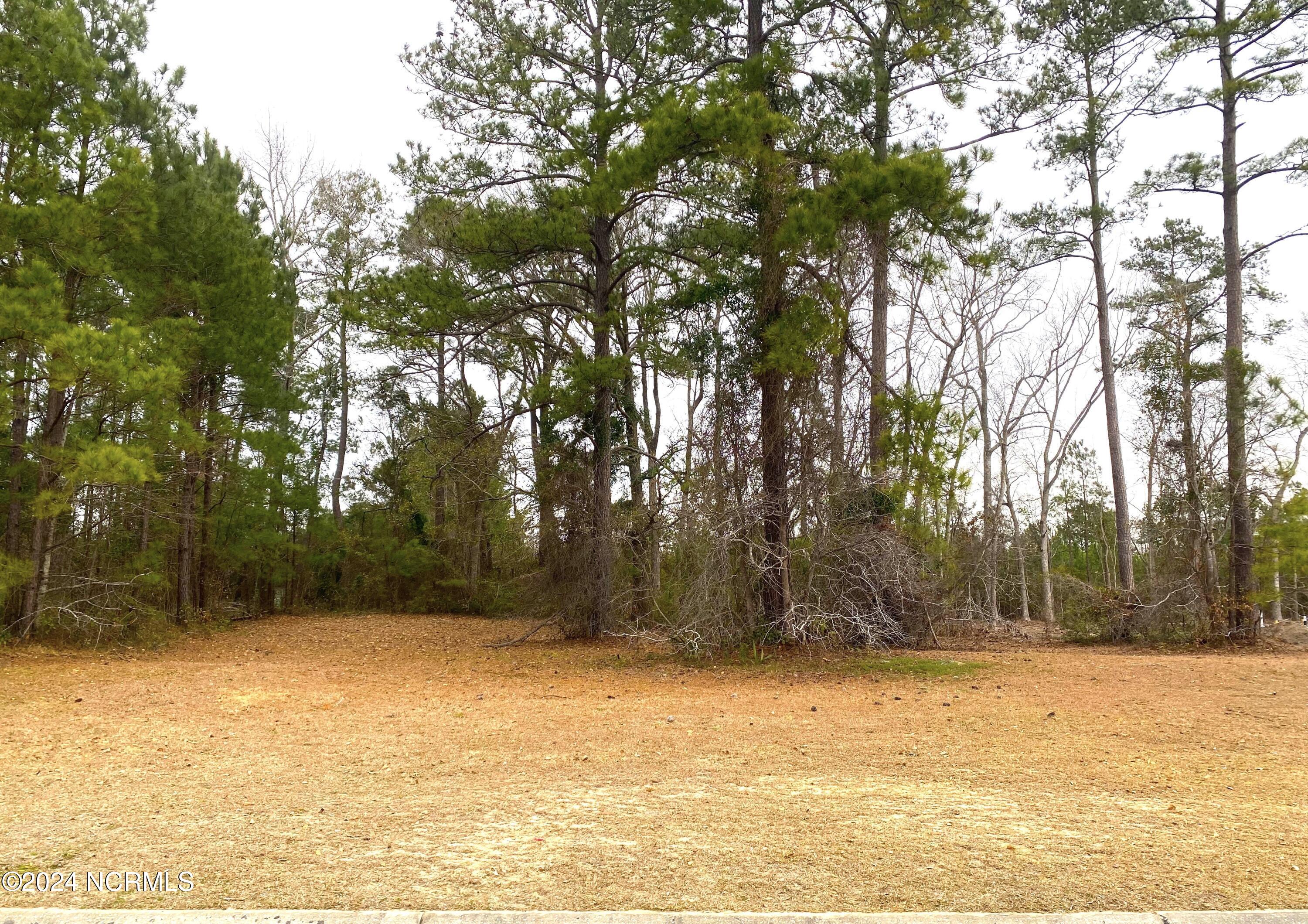 1208 N Middleton Drive Property Photo 1