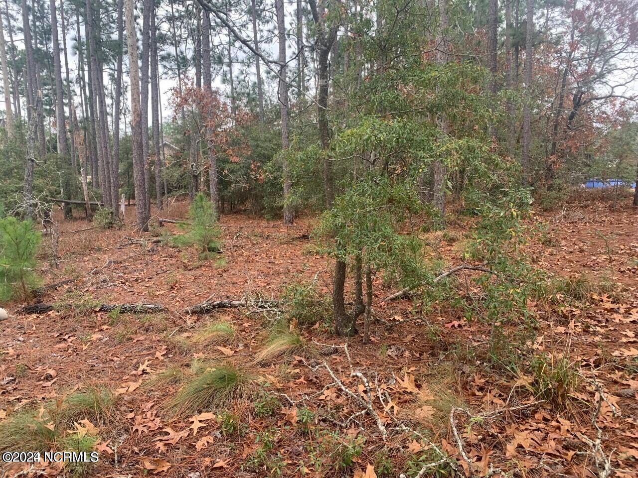Lots 3-5 Raeford Road Property Photo 1