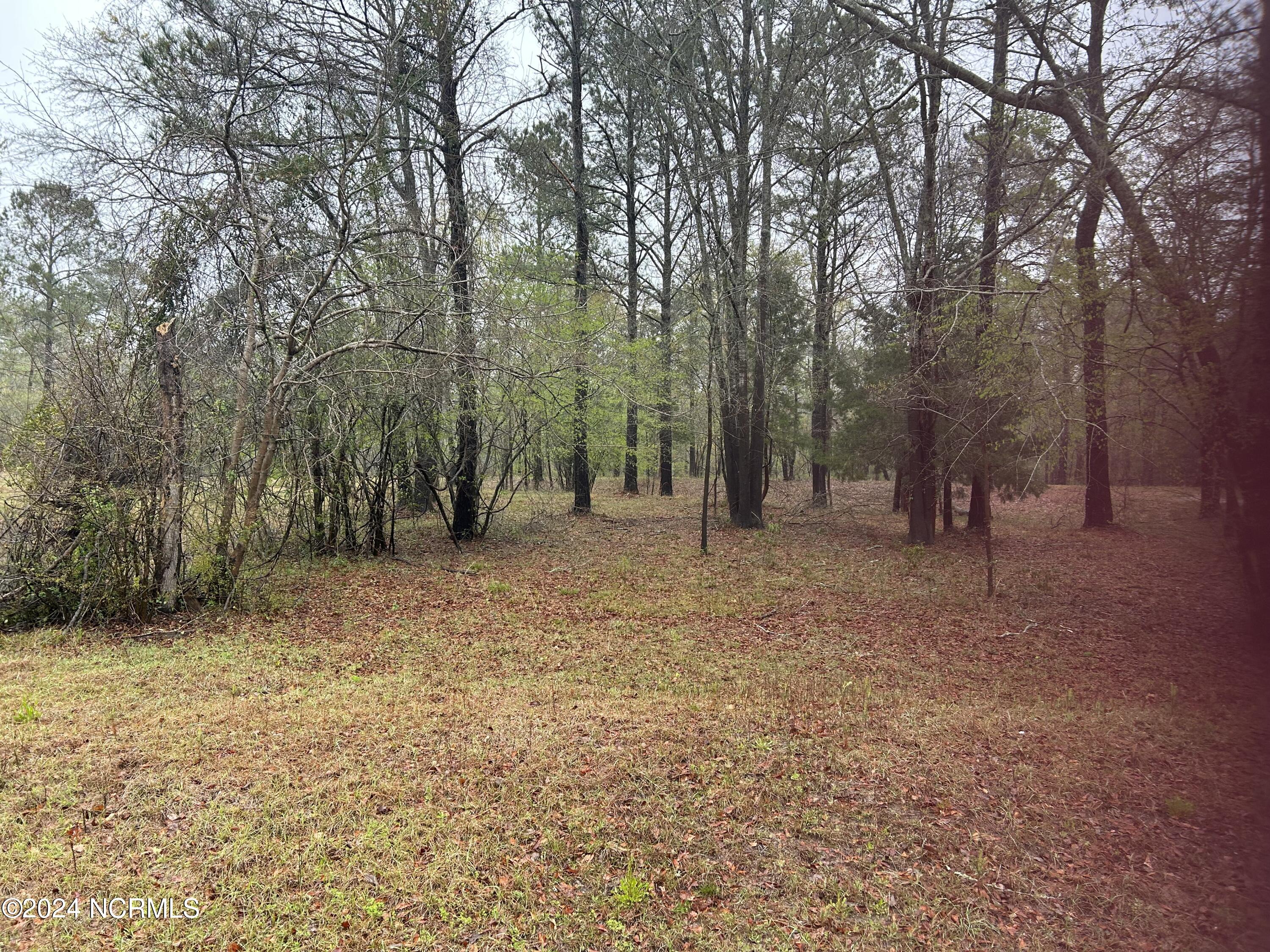 Lot 26 E River Front Lane Property Photo 1