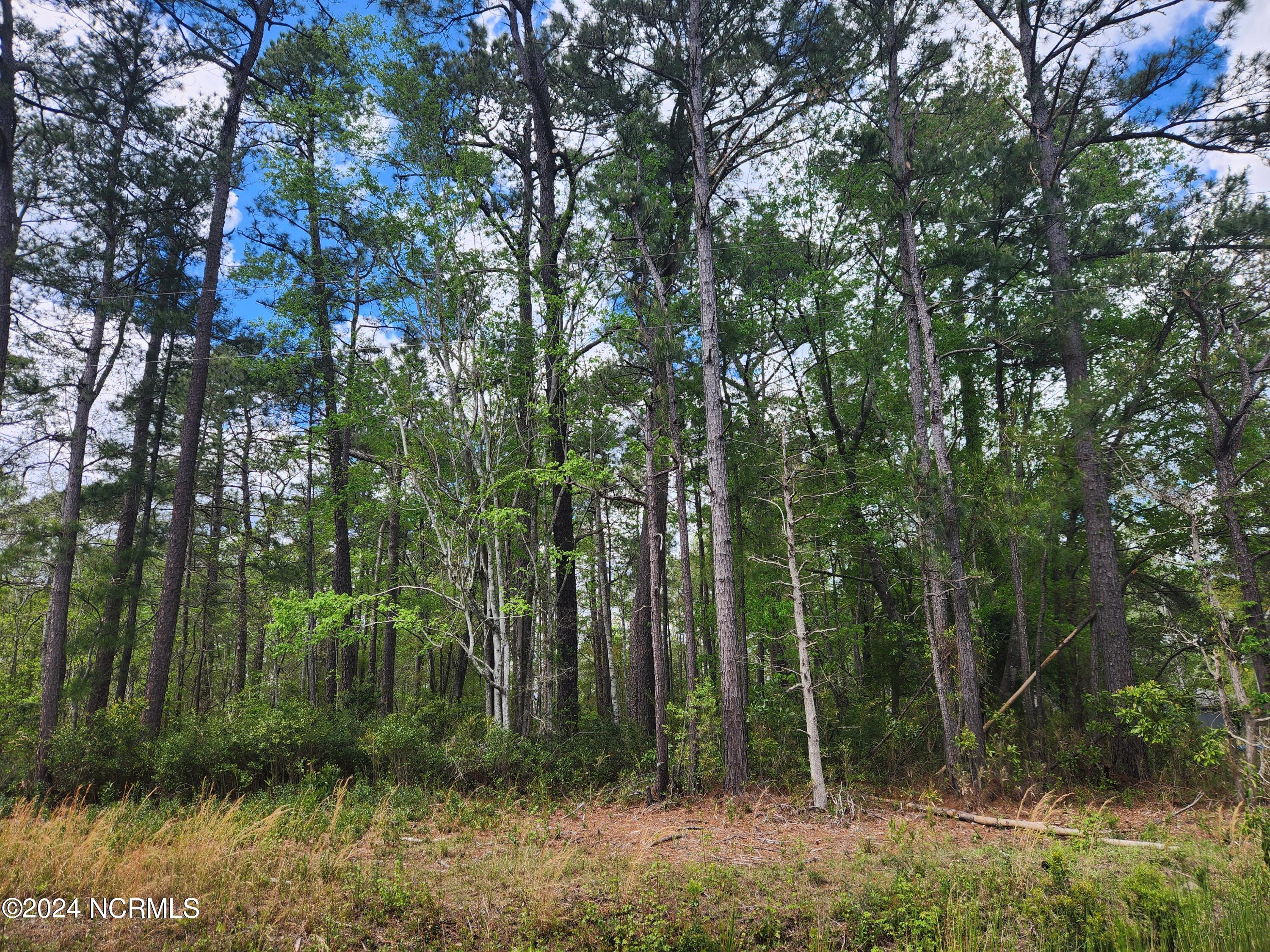 515 Briarwood Drive Property Photo 1