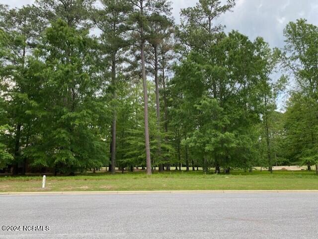 100 Thames Lane Property Photo 5