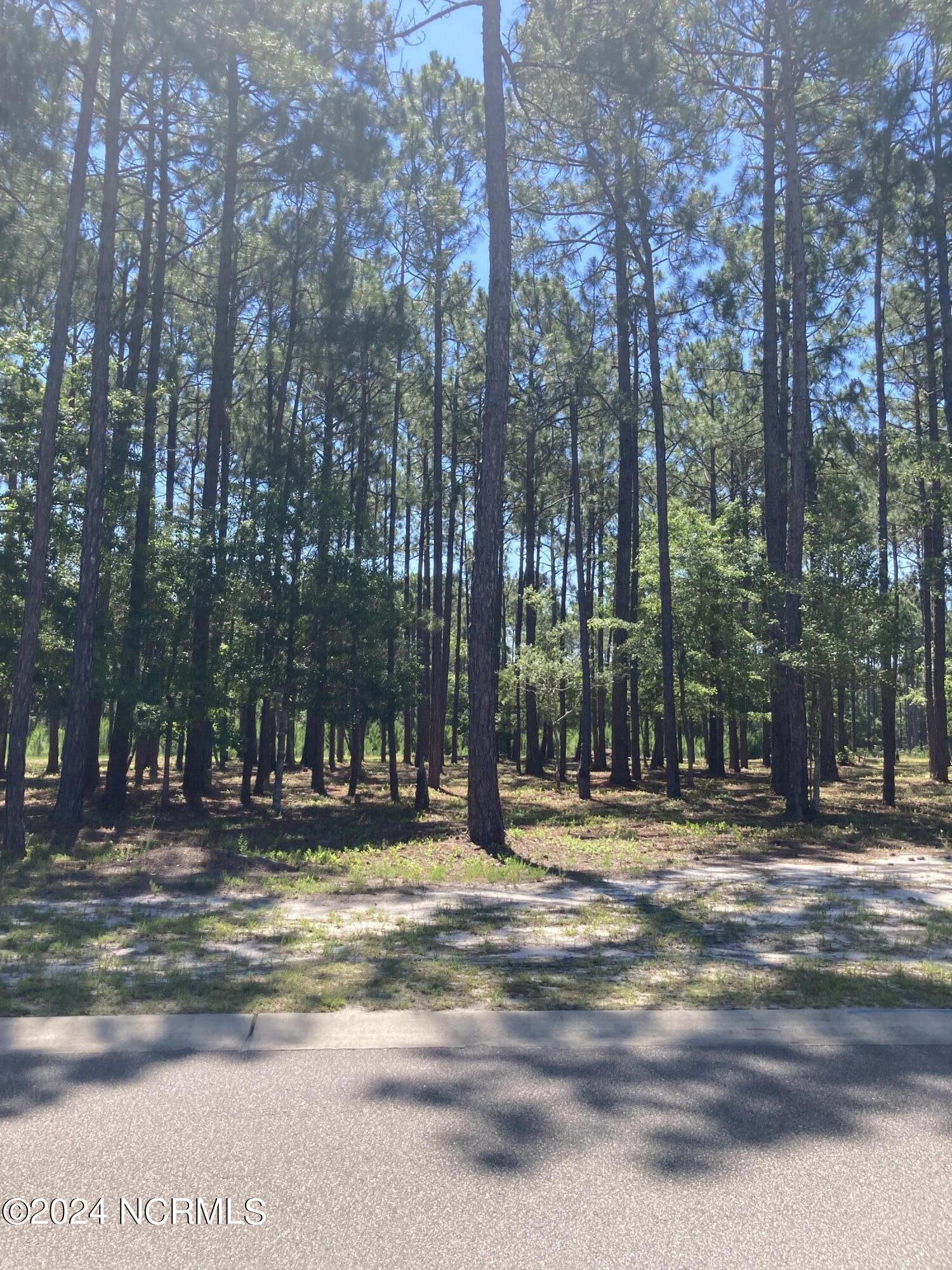 6436 Waterbrook Way Property Photo 1