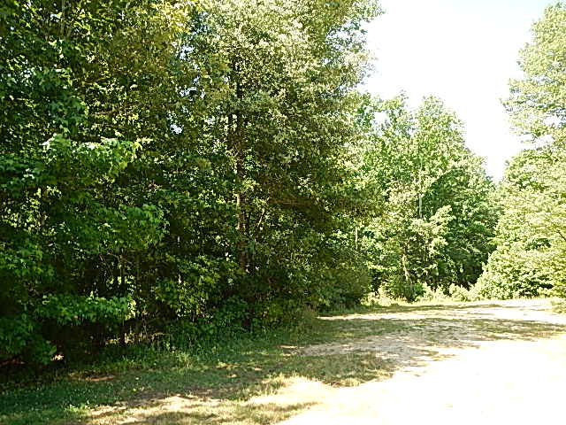 0 Red Oak Battleboro Road Property Photo 2