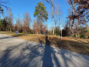 Lot 5 County Road 356 (366) Property Photo 1