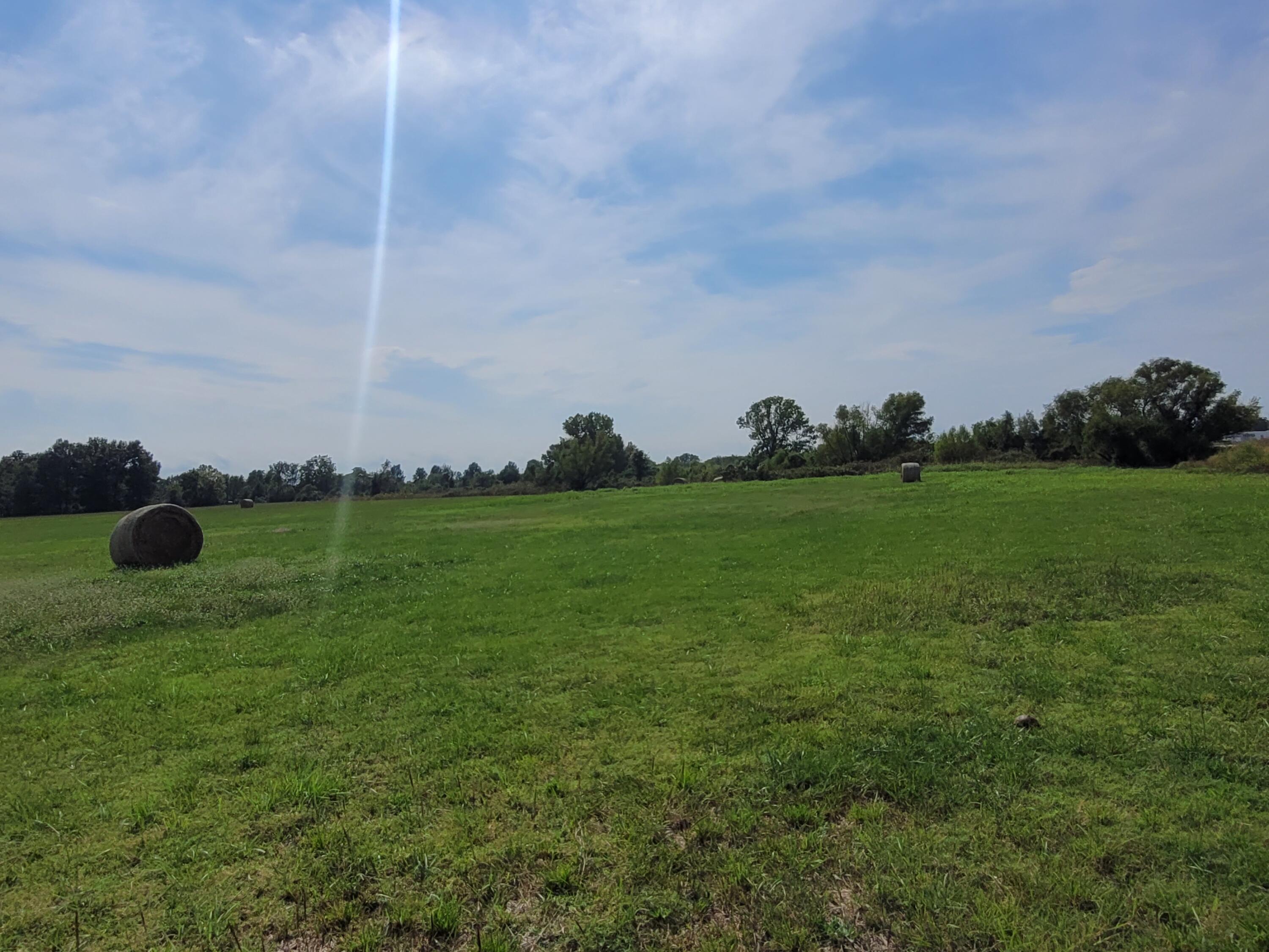 Hwy 69 Property Photo 4