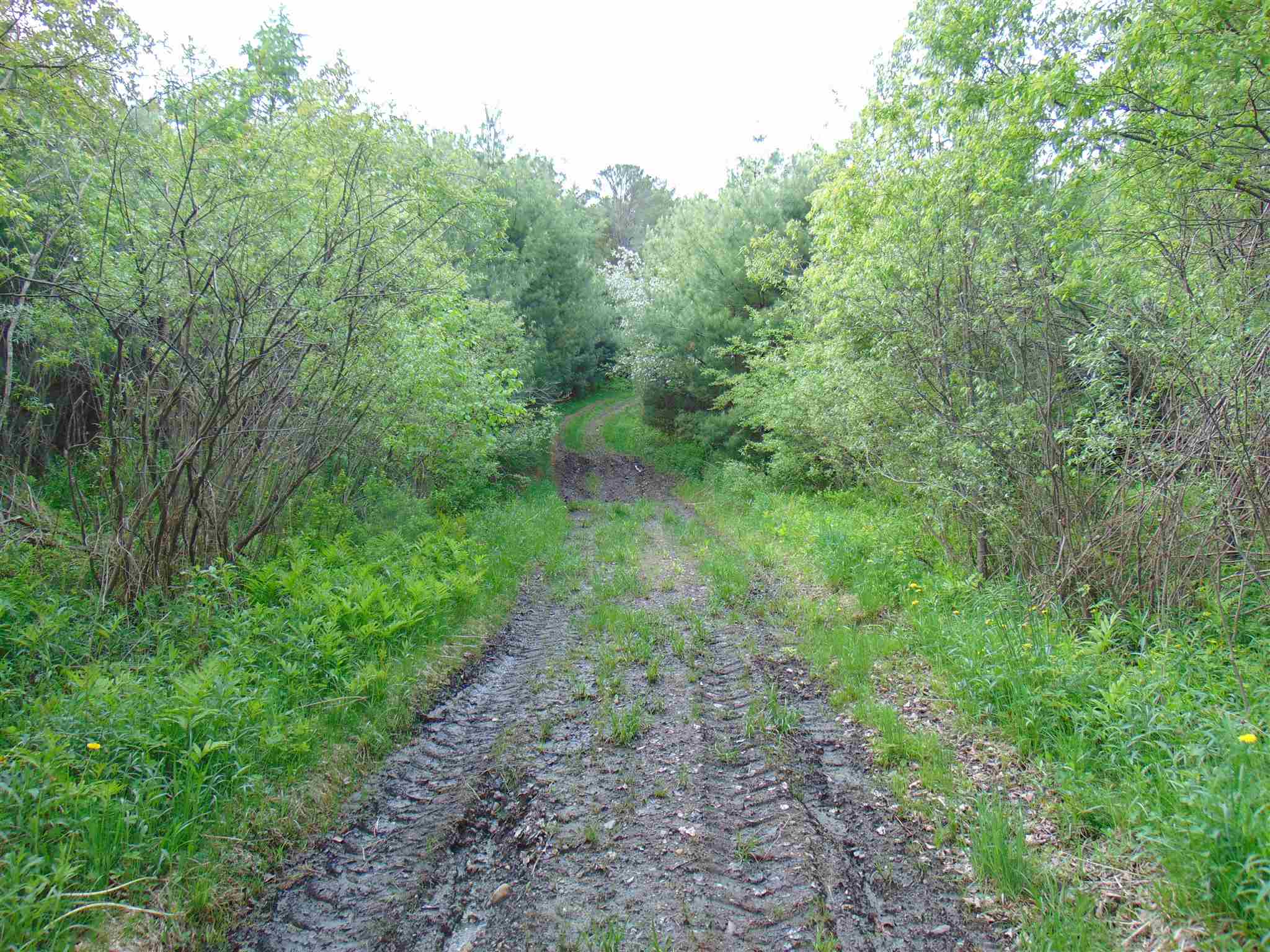 00 U.s. Route 2 Property Photo