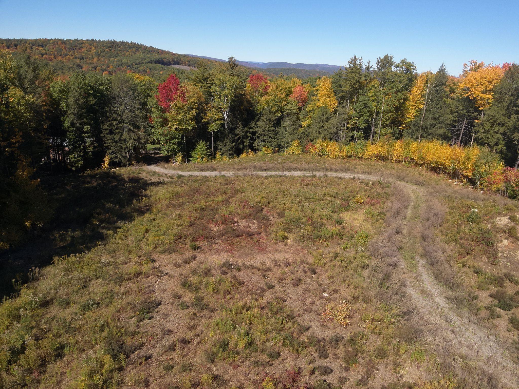 0 Fort Dummer Heights Property Photo