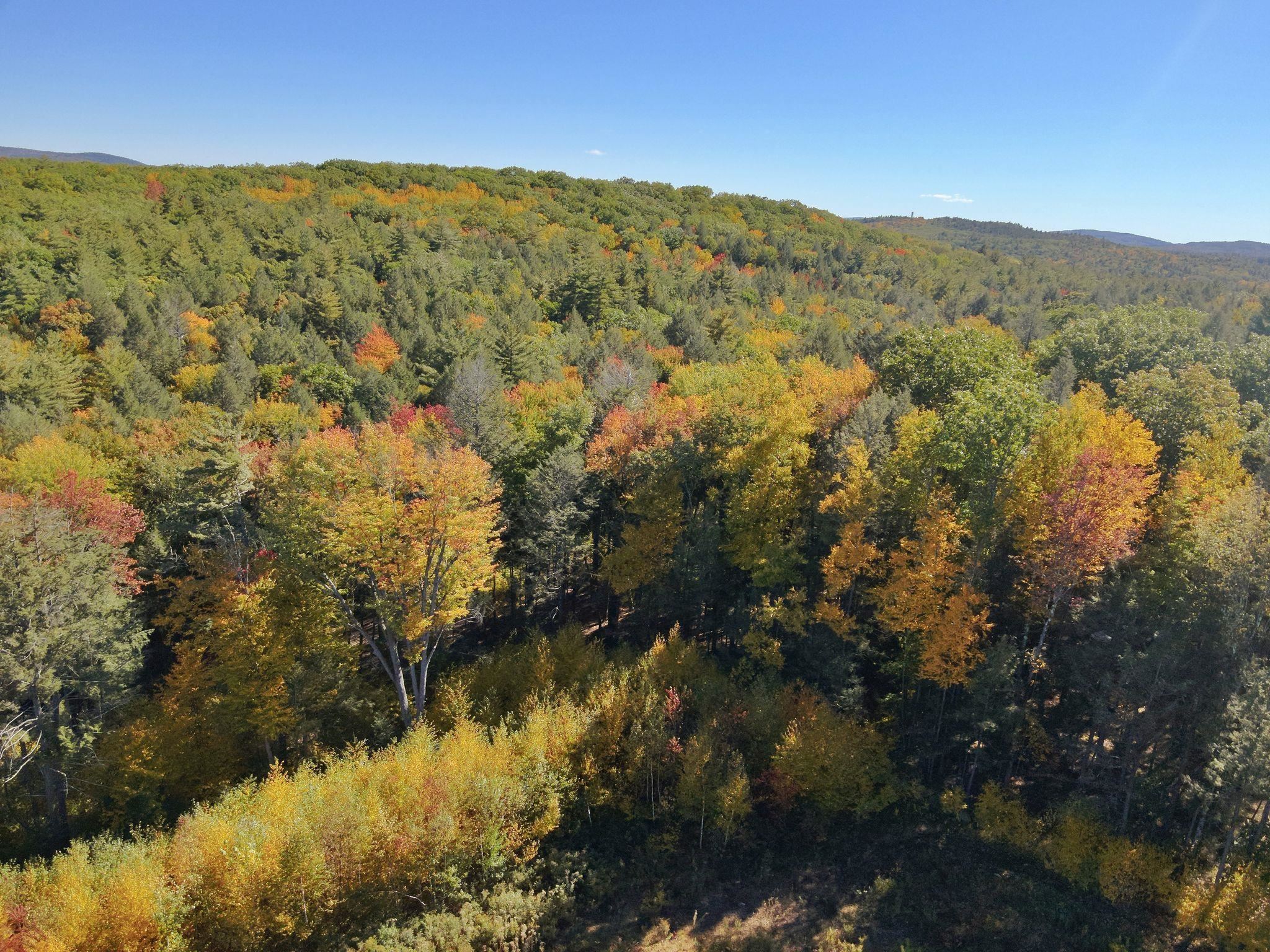 00 Fort Dummer Heights Property Photo