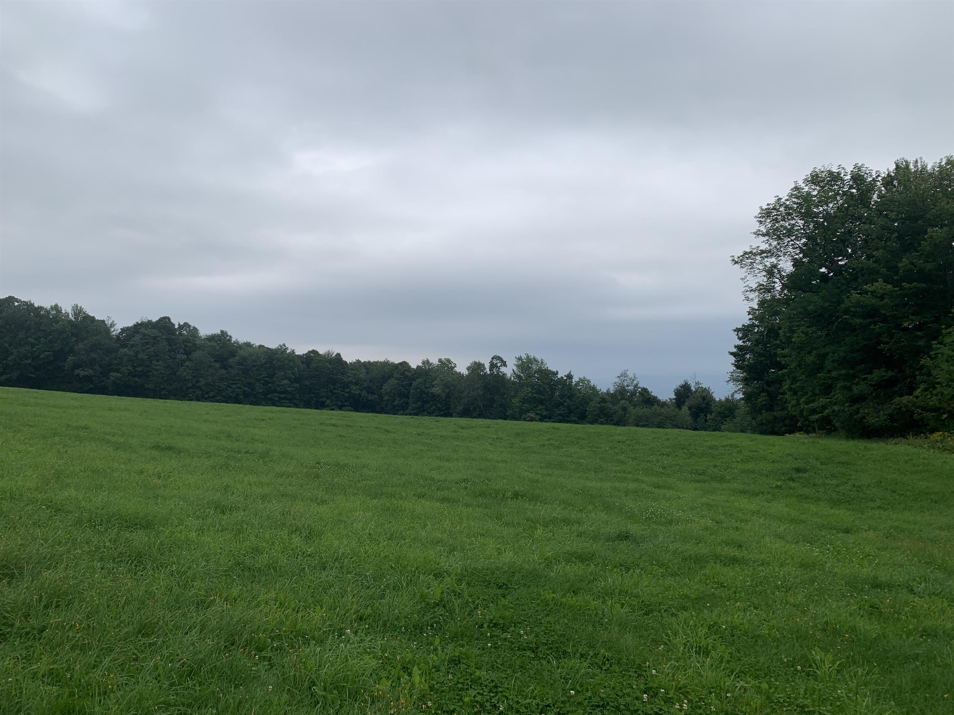 D'aversa Real Estate Listings Main Image