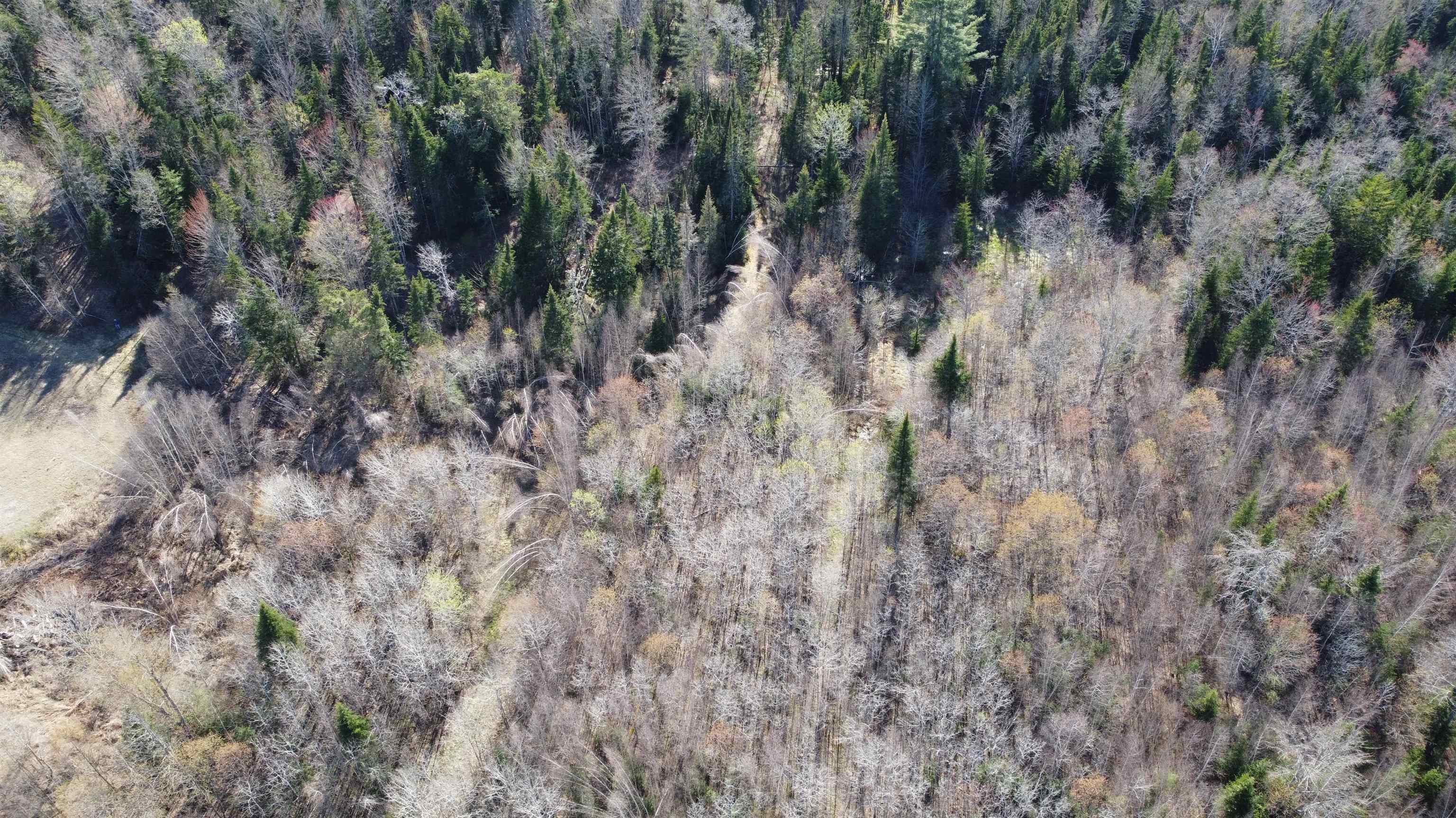 0 Atwood Road Property Photo 6
