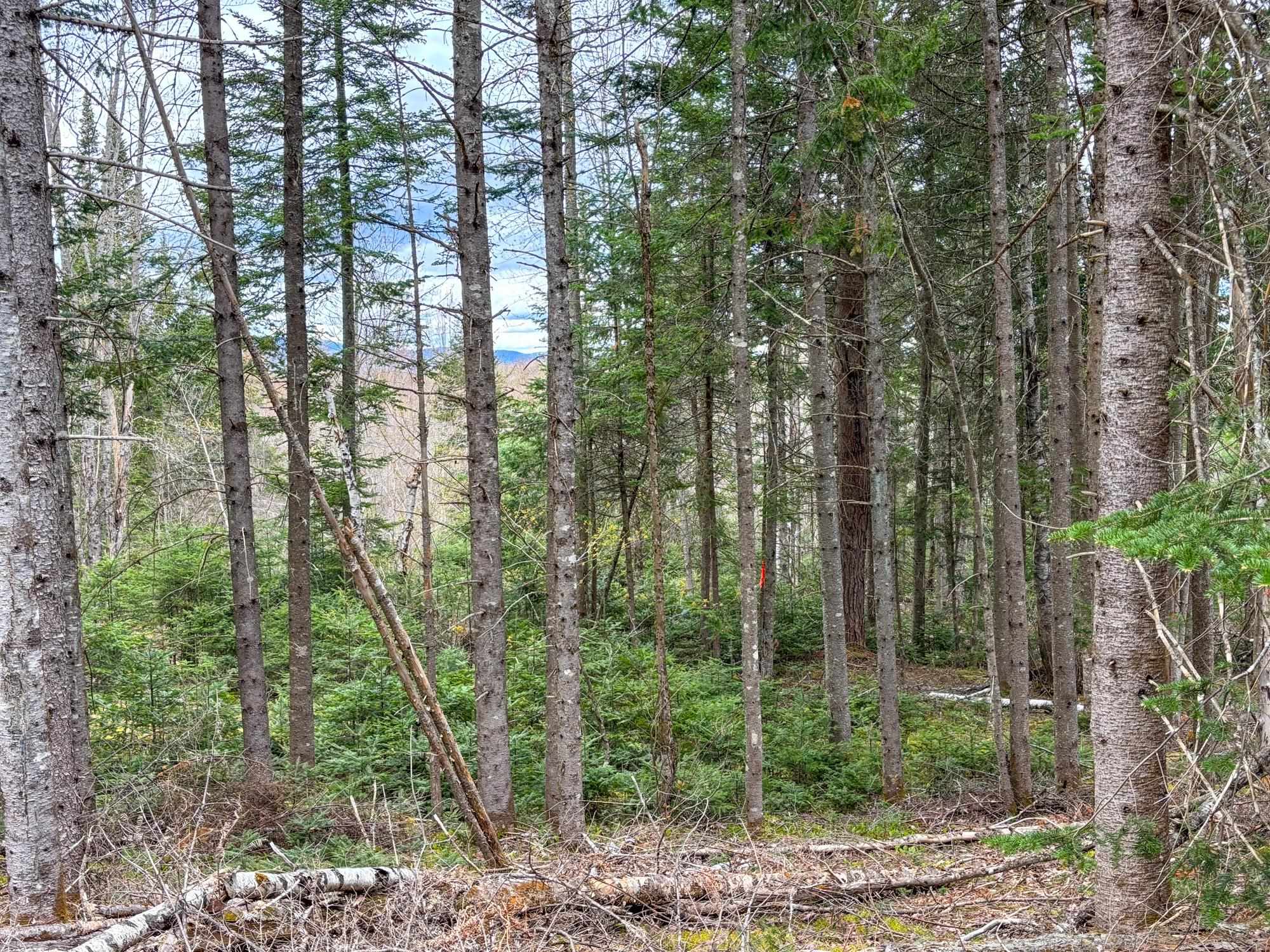 0 Atwood Road Property Photo 10