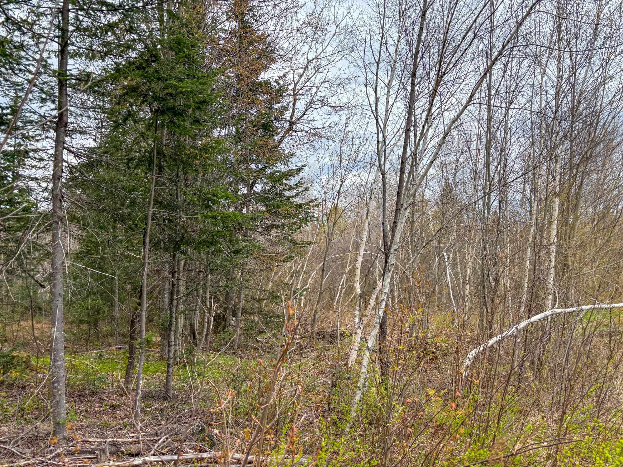 0 Atwood Road Property Photo 11