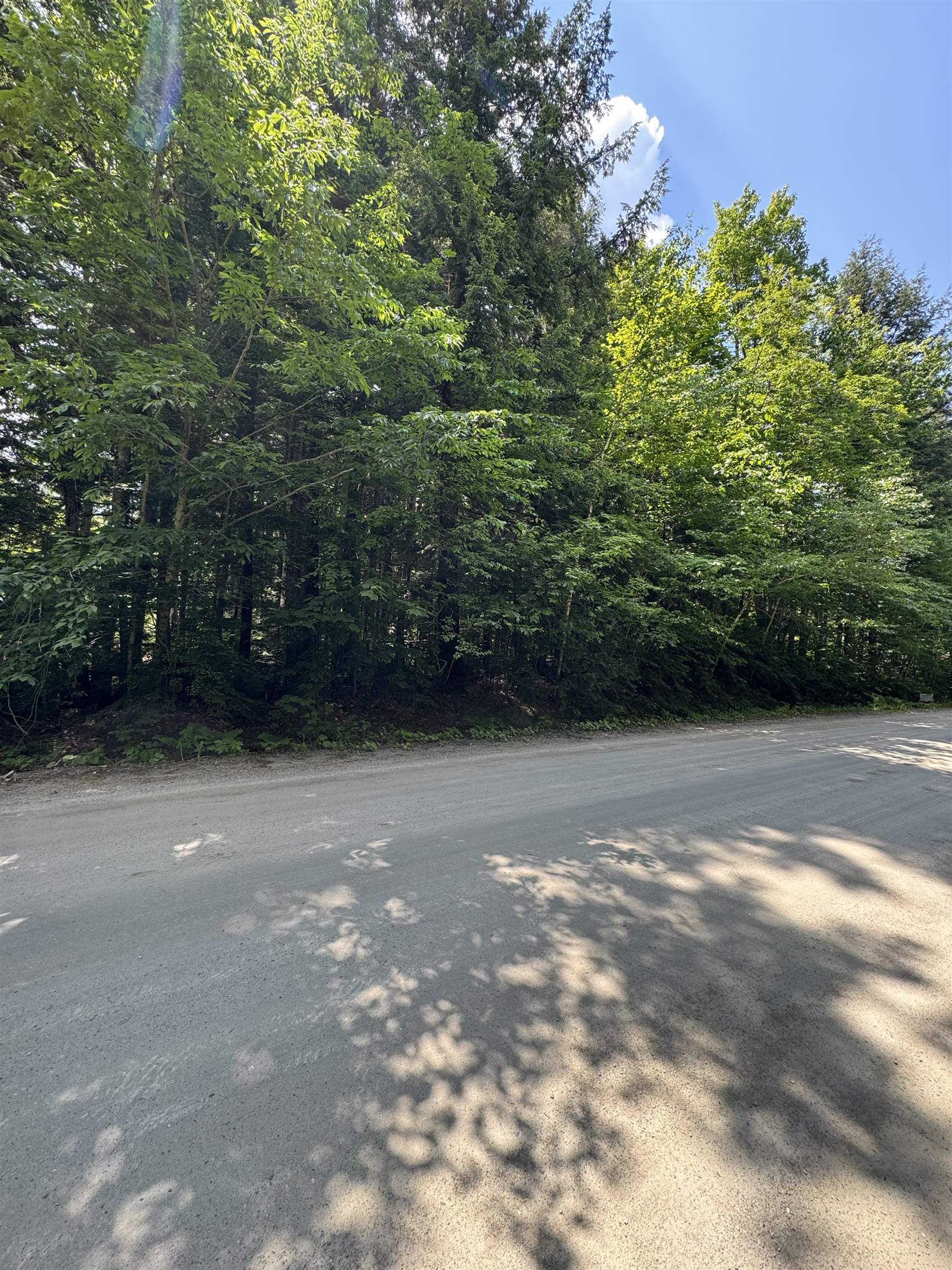 0 Boardman Loop Property Photo 5