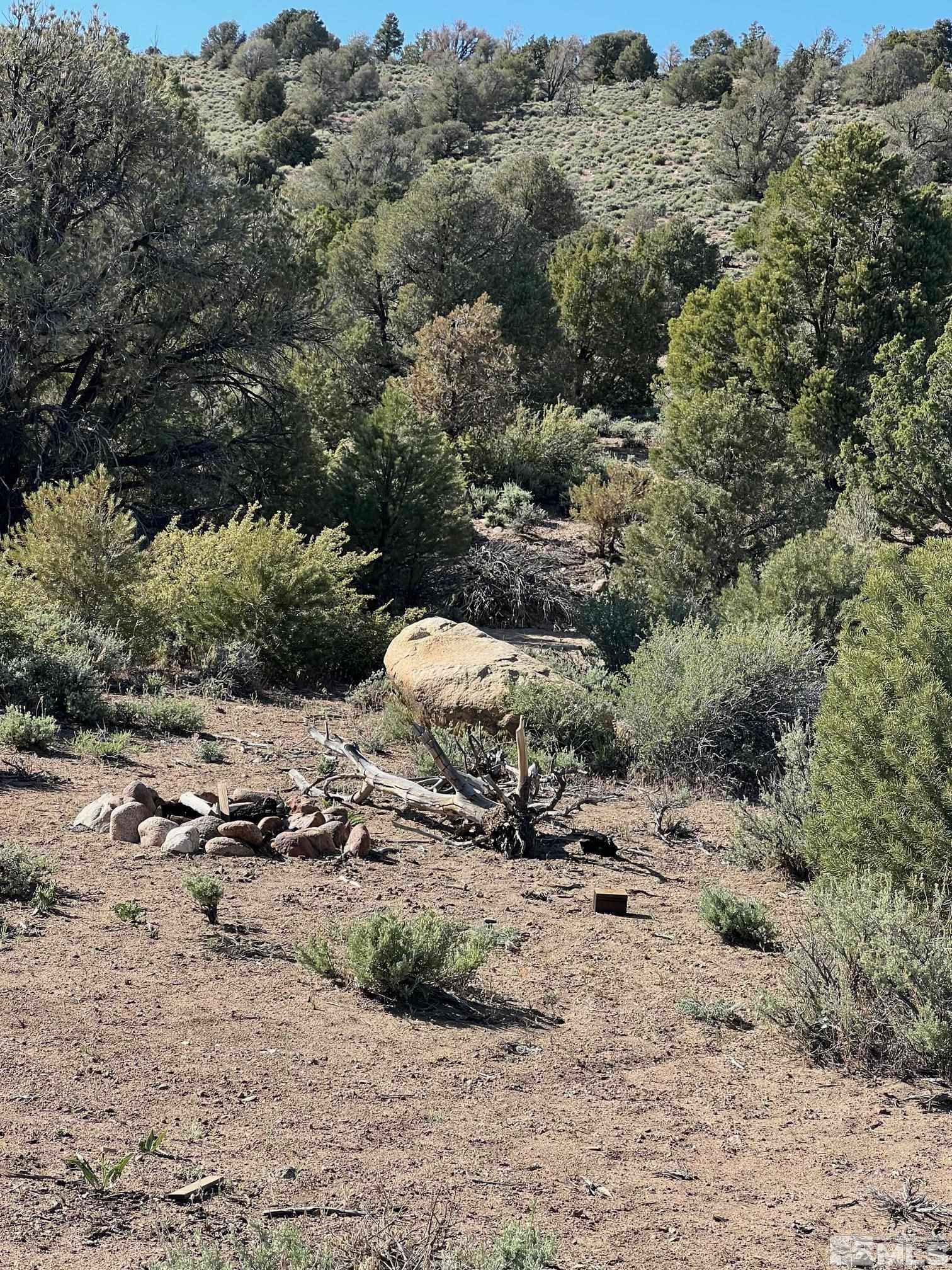 Tbd Pine Nut Mountains (55) Property Photo