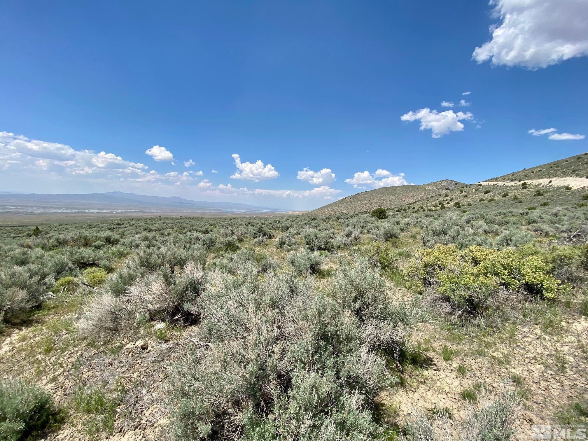 25355 Buffalo Canyon Rd Property Photo 4