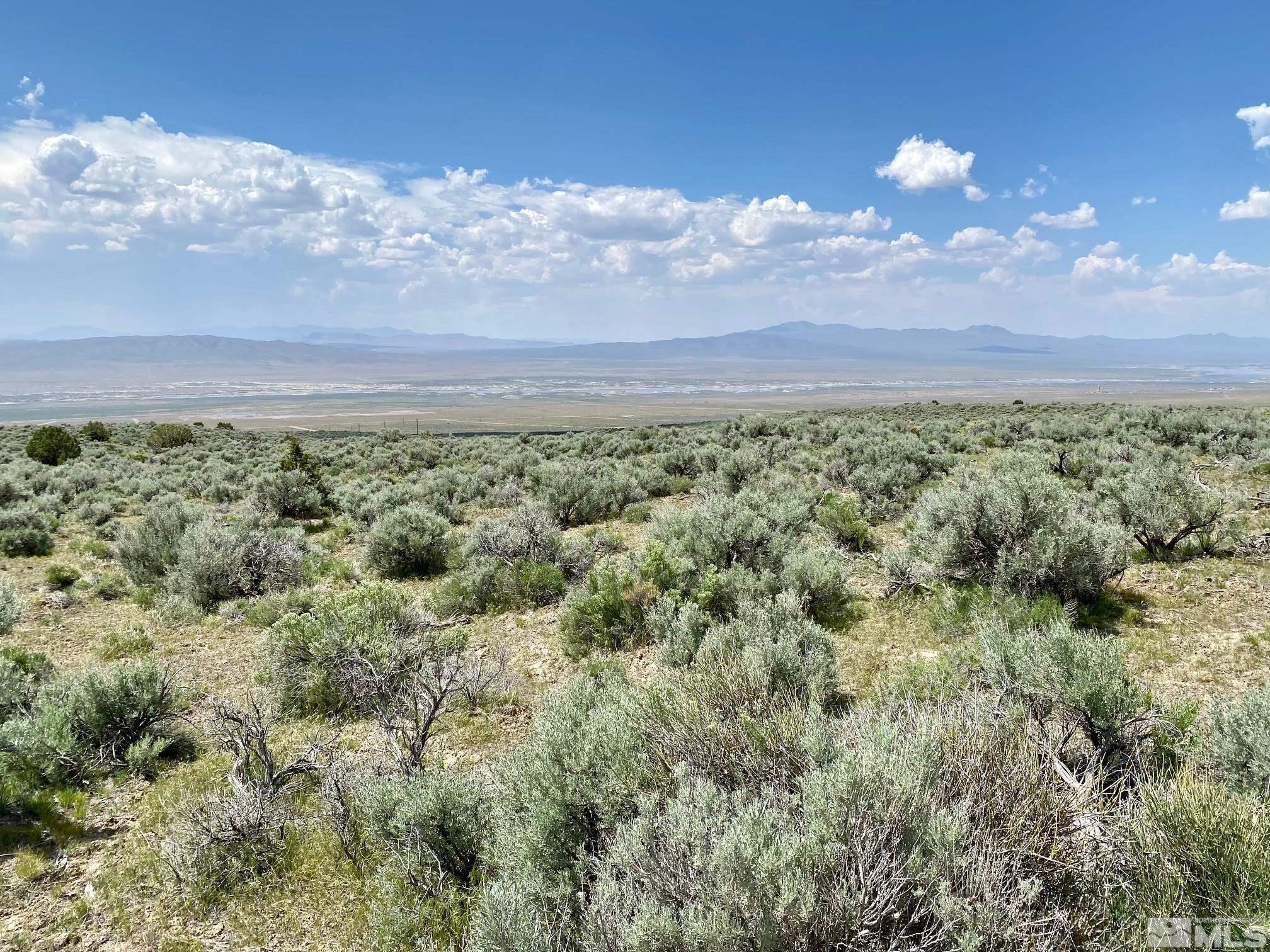25355 Buffalo Canyon Rd Property Photo 6