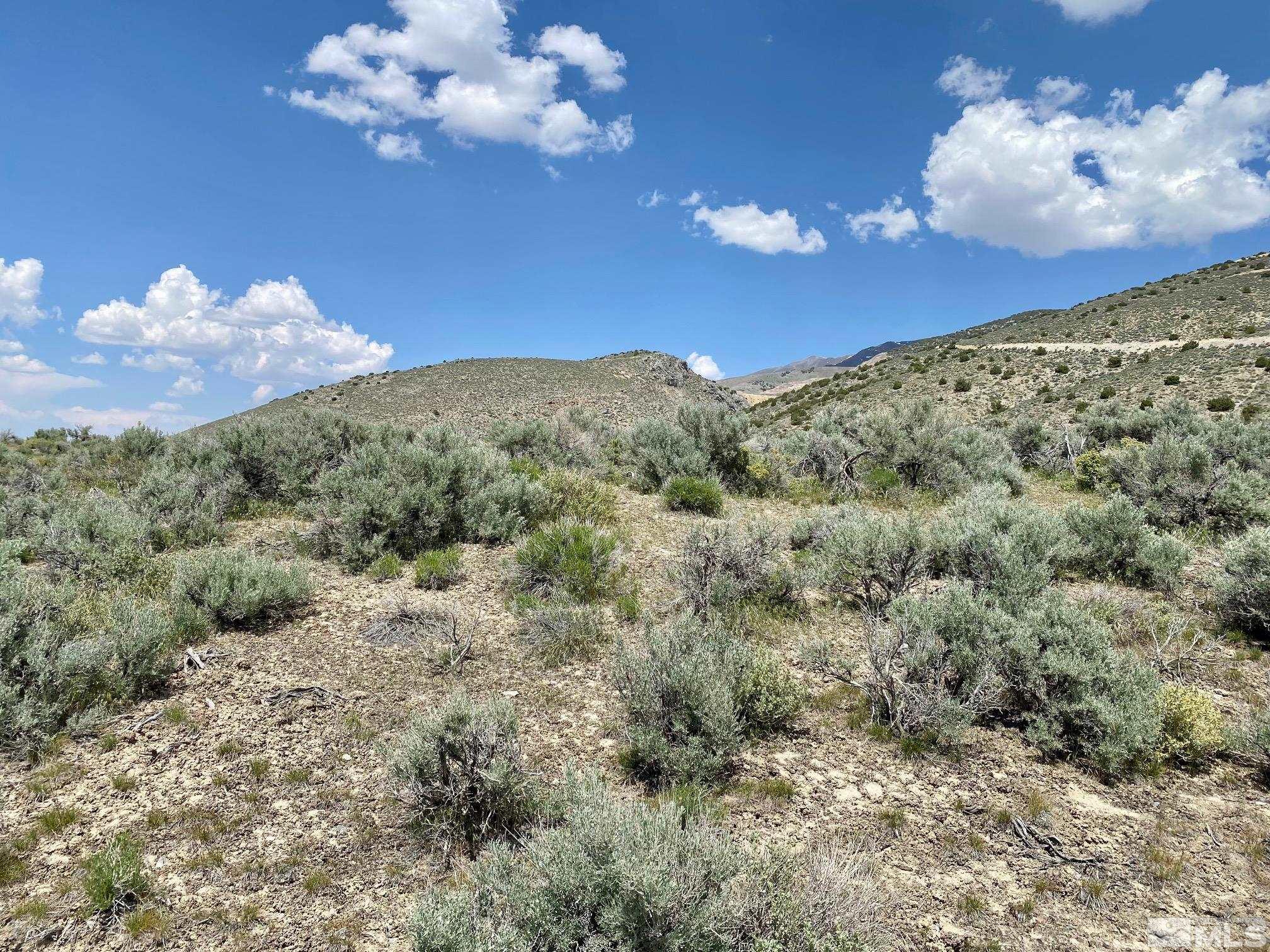 25355 Buffalo Canyon Rd Property Photo 9