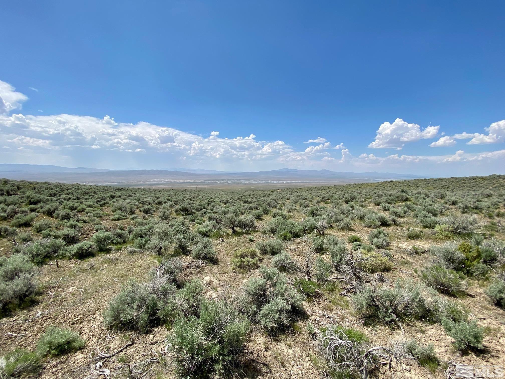 25355 Buffalo Canyon Rd Property Photo 10